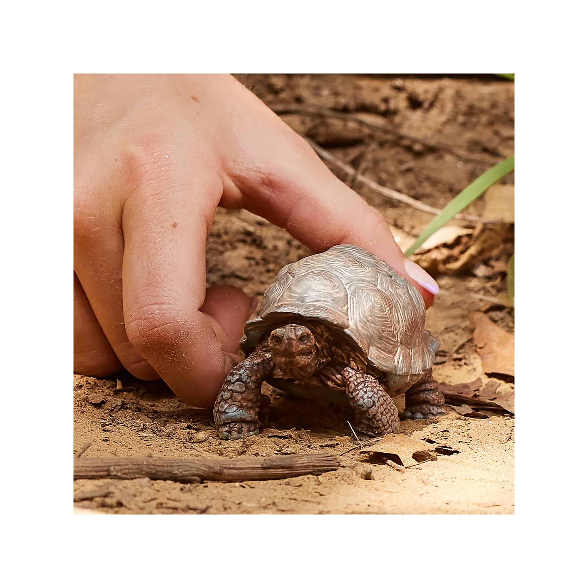 Schleich 14824 Riesenschildkröte