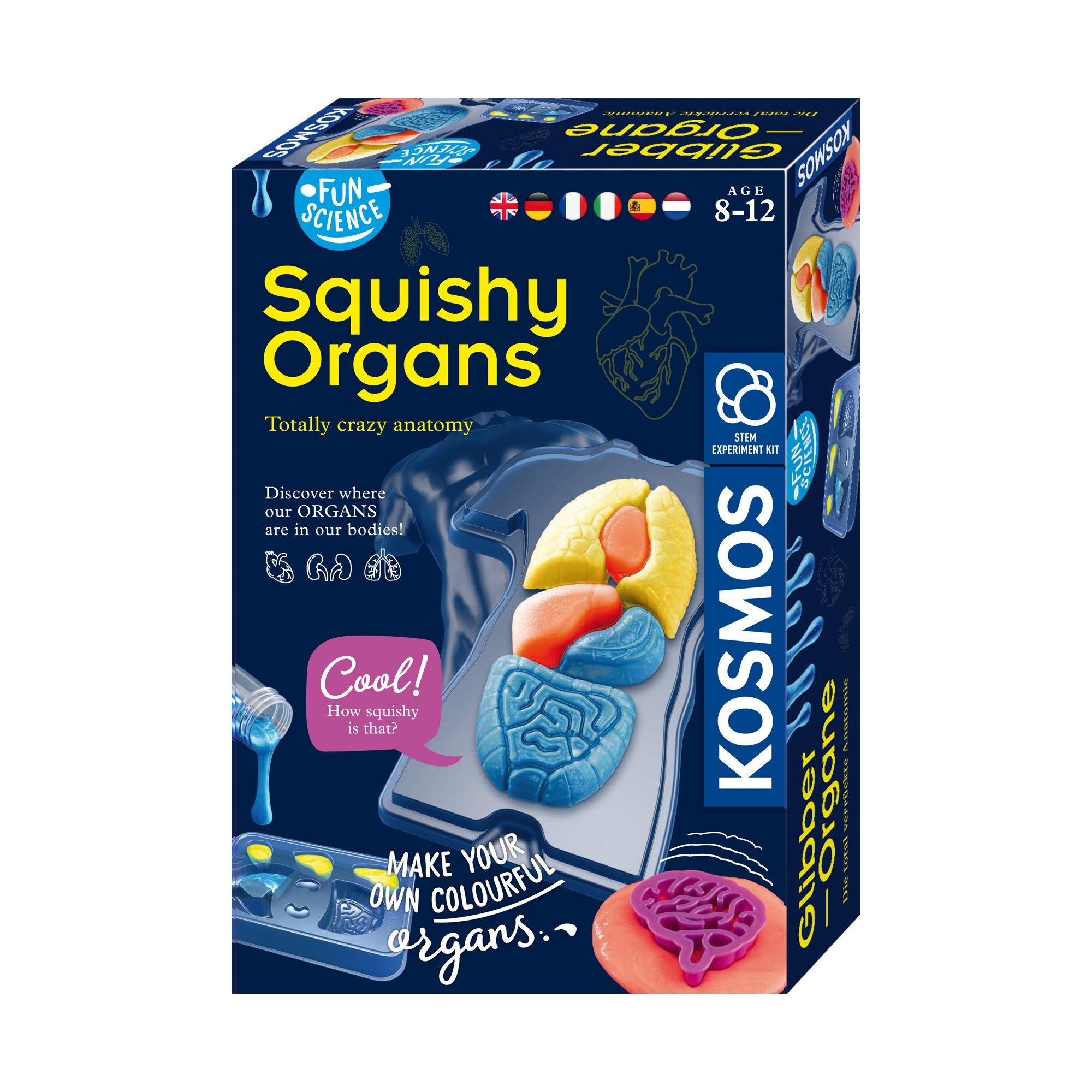 Kosmos Fun Science Squishy Organs