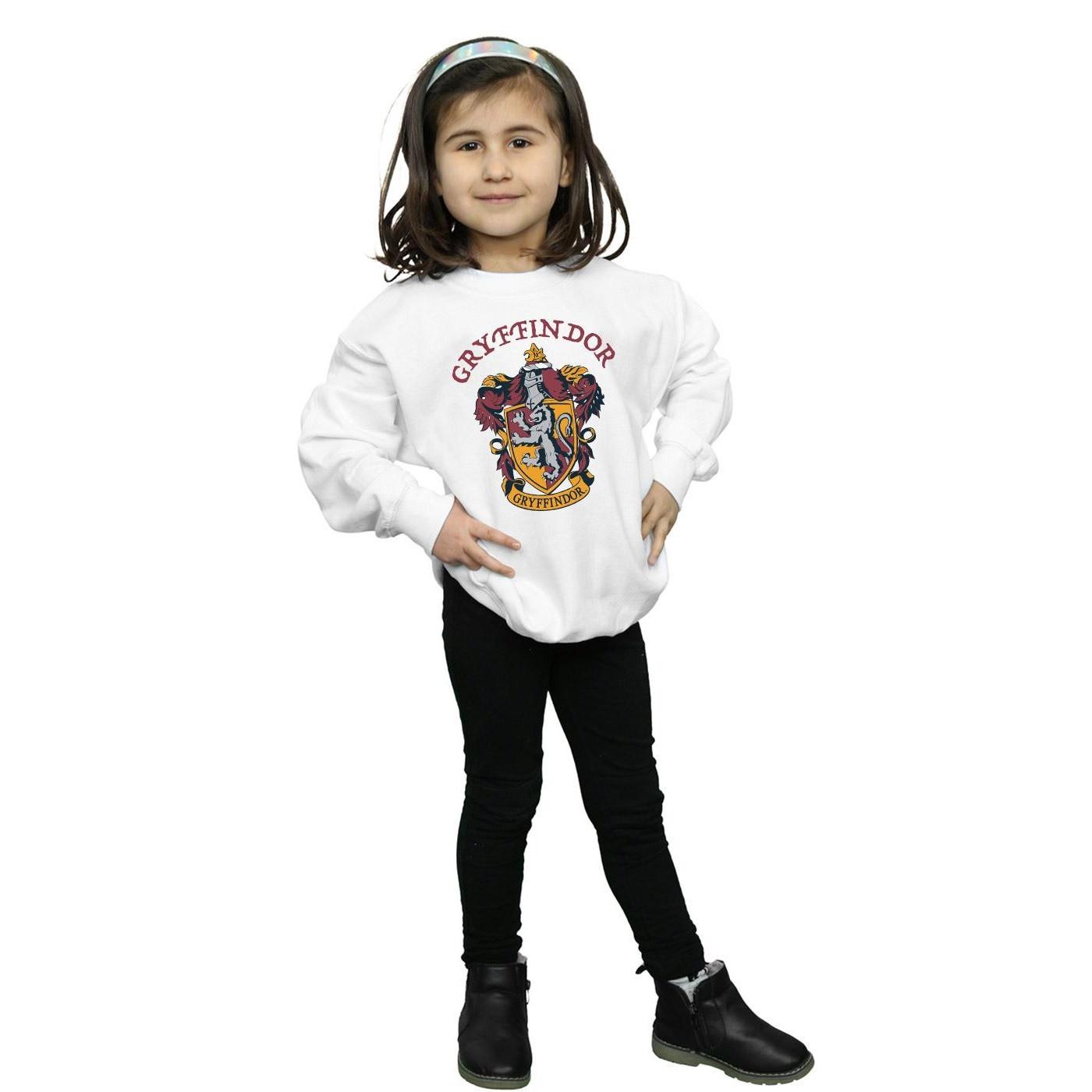 Harry Potter Sweatshirt