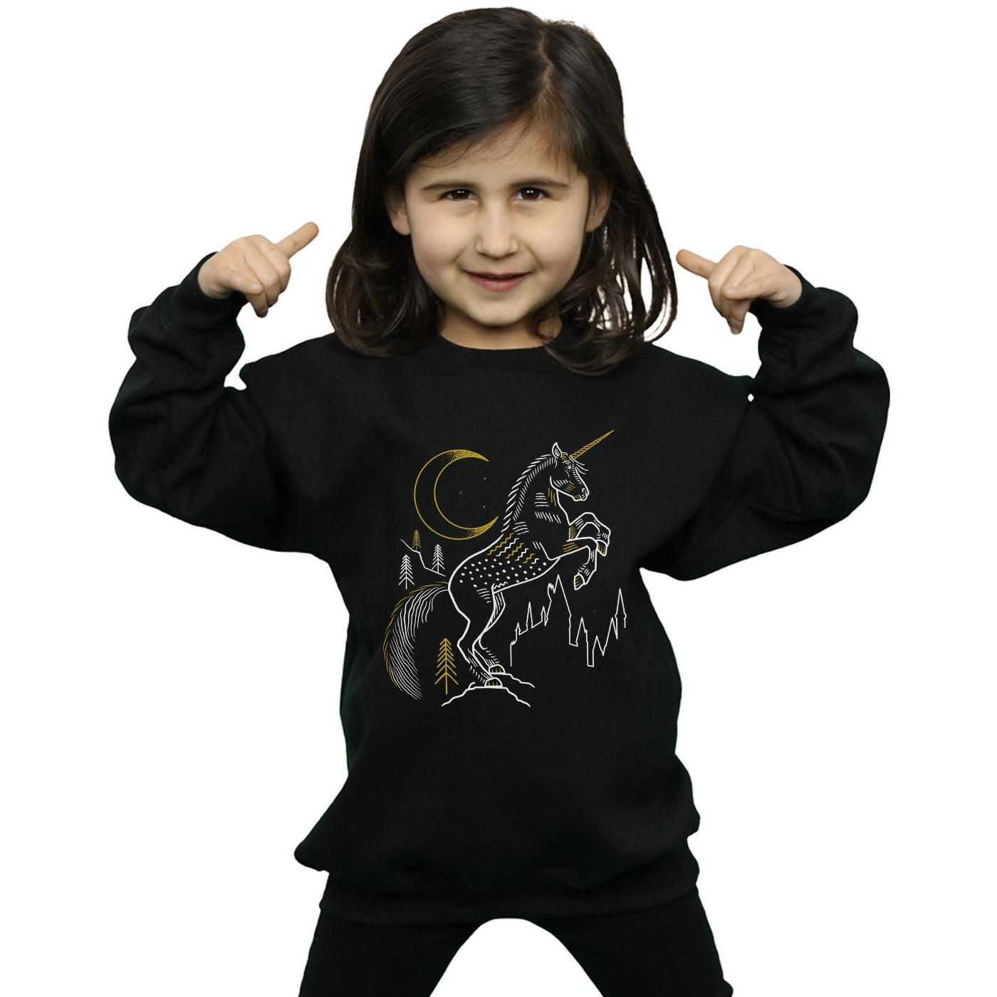 Harry Potter Sweatshirt