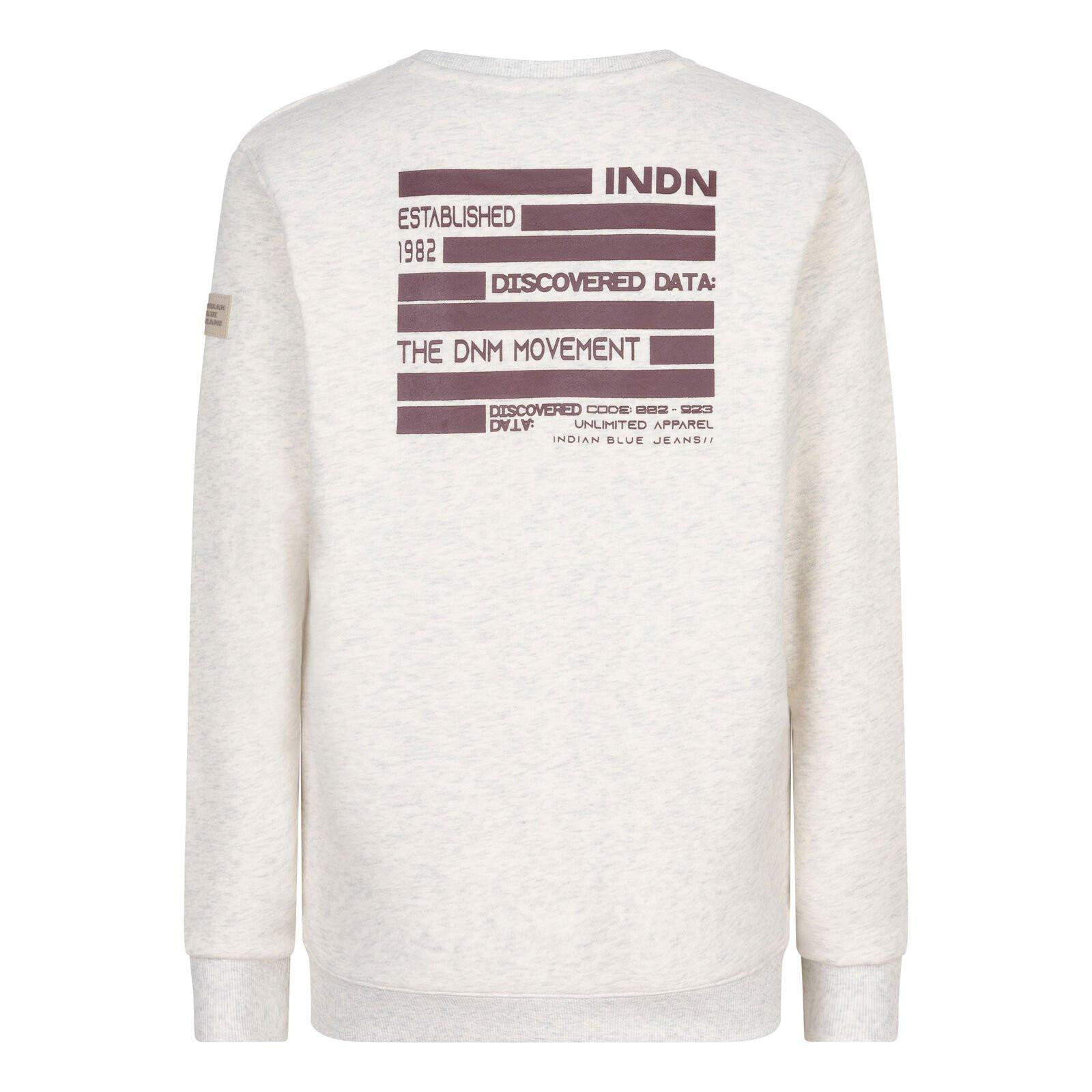 Indian Blue Jeans Jungen Pullover Backprint