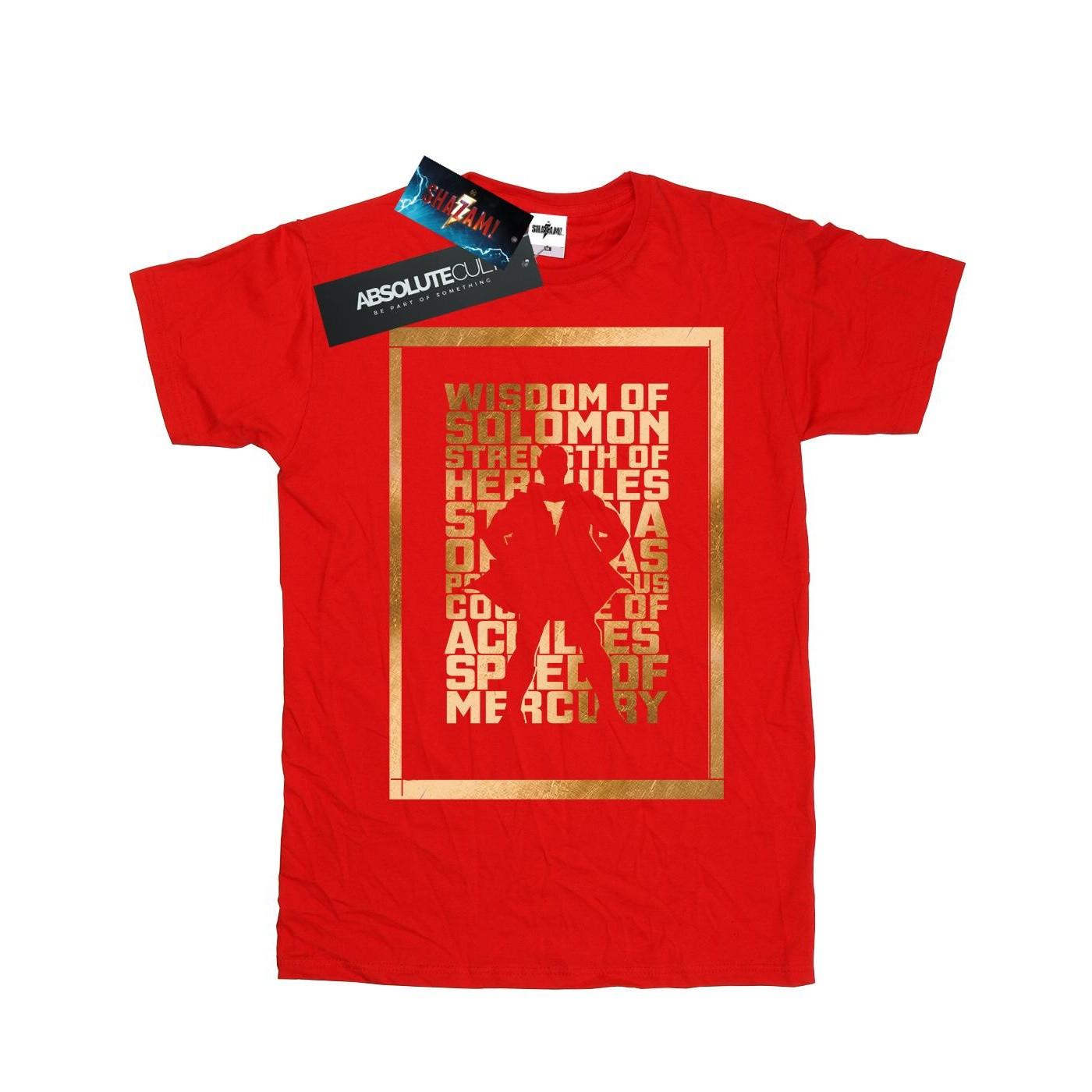 DC COMICS TShirt