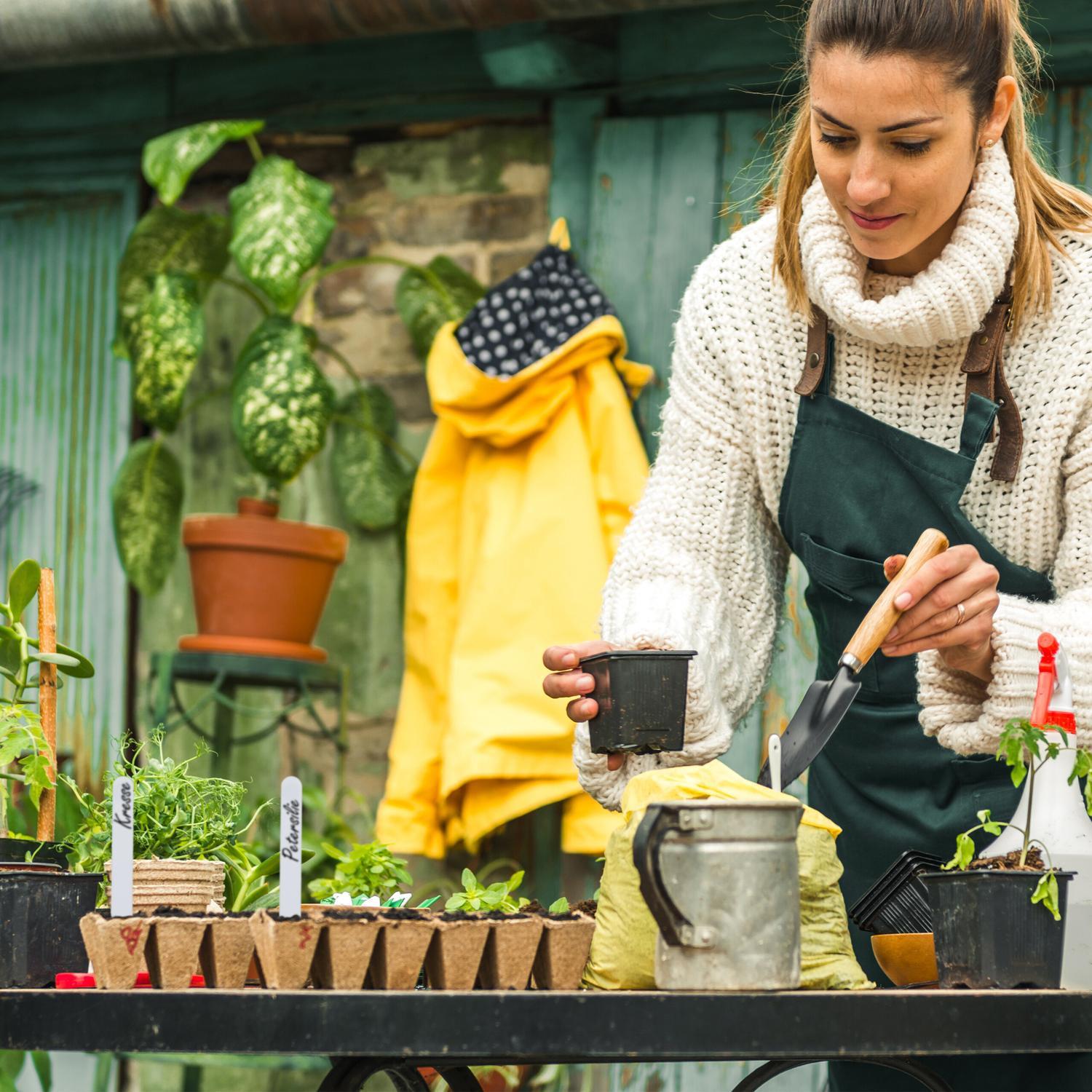 B2X Anzuchttöpfe, 200 Stück, mit Etikett