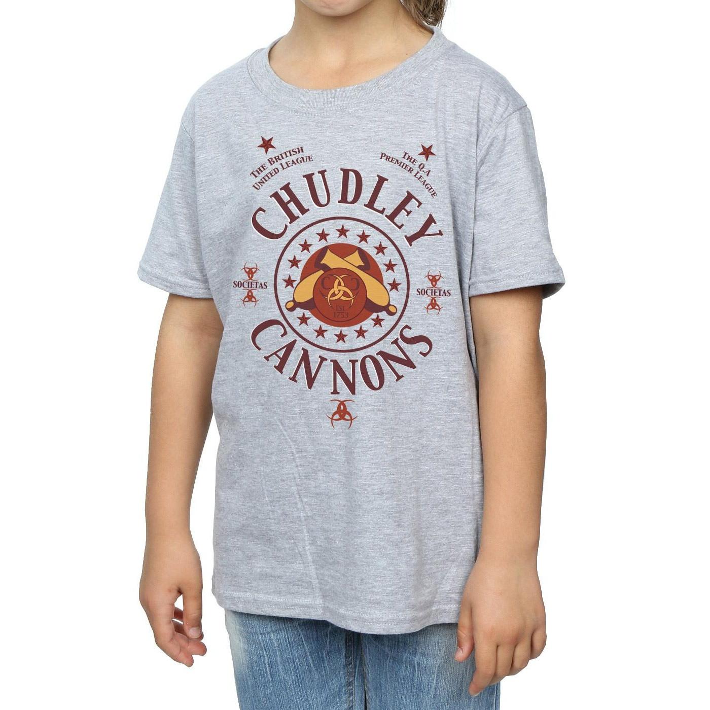 Harry Potter Chudley Cannons TShirt