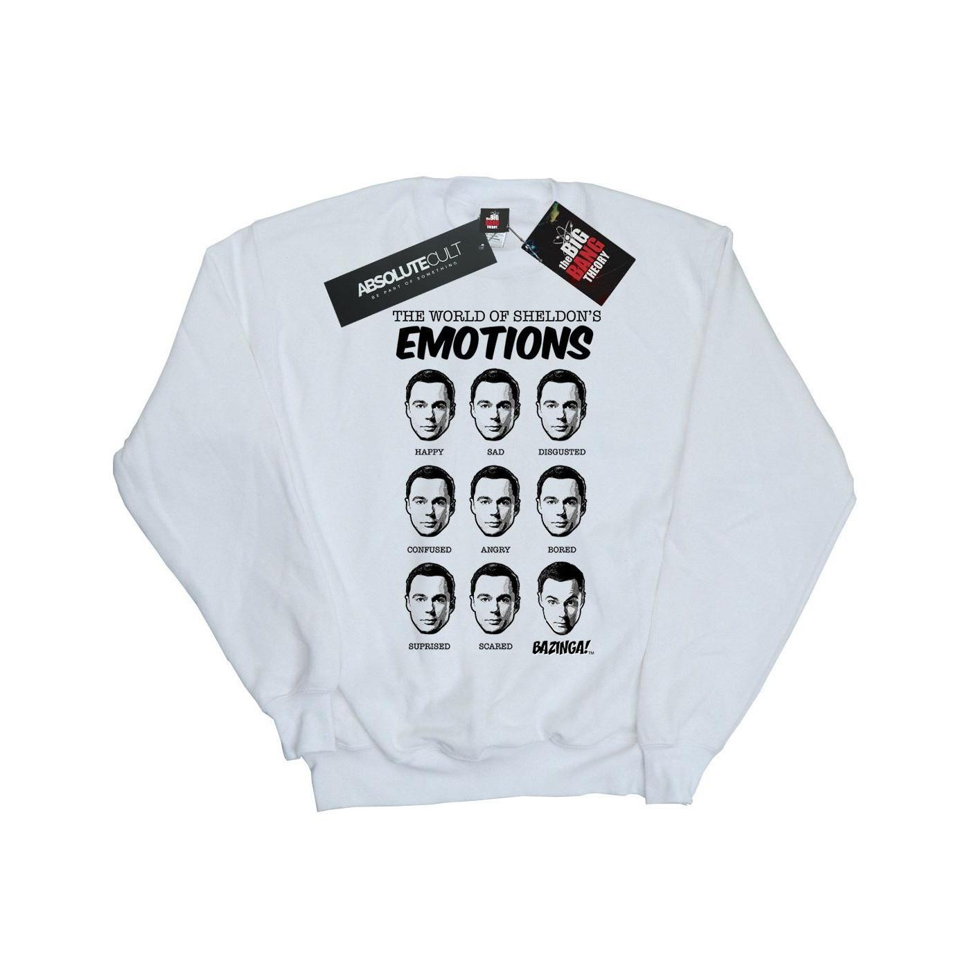 The Big Bang Theory Sweatshirt