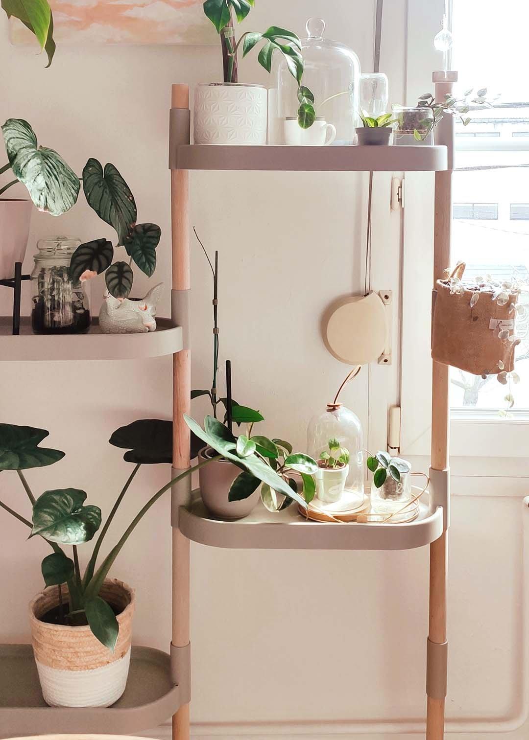 CitySens Pflanzenregal