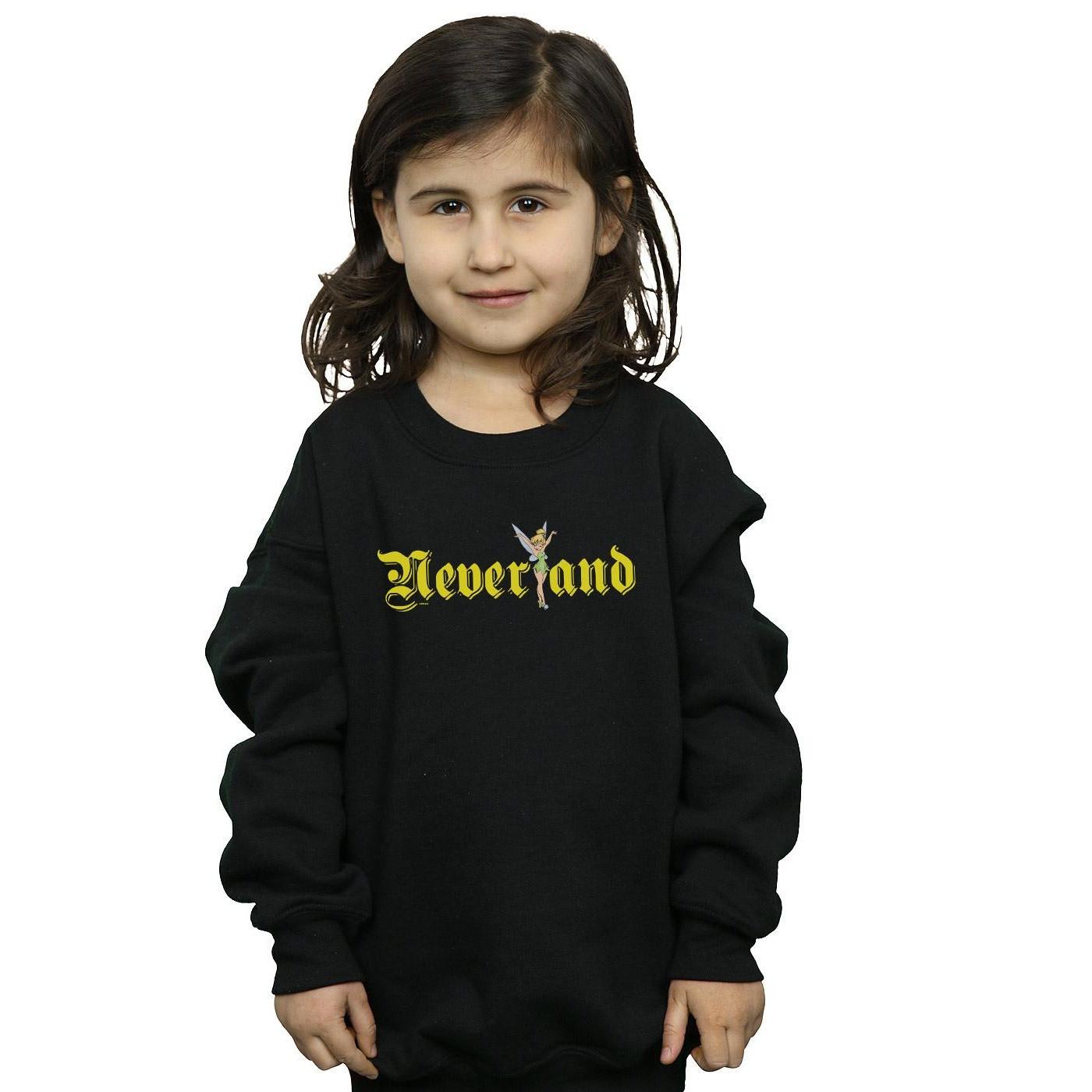 Disney Neverland Sweatshirt