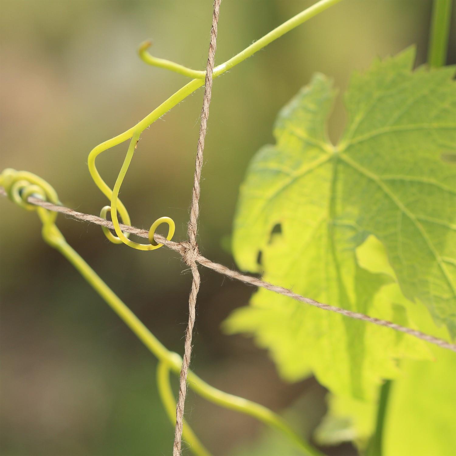 B2X Gitternetz aus Jute