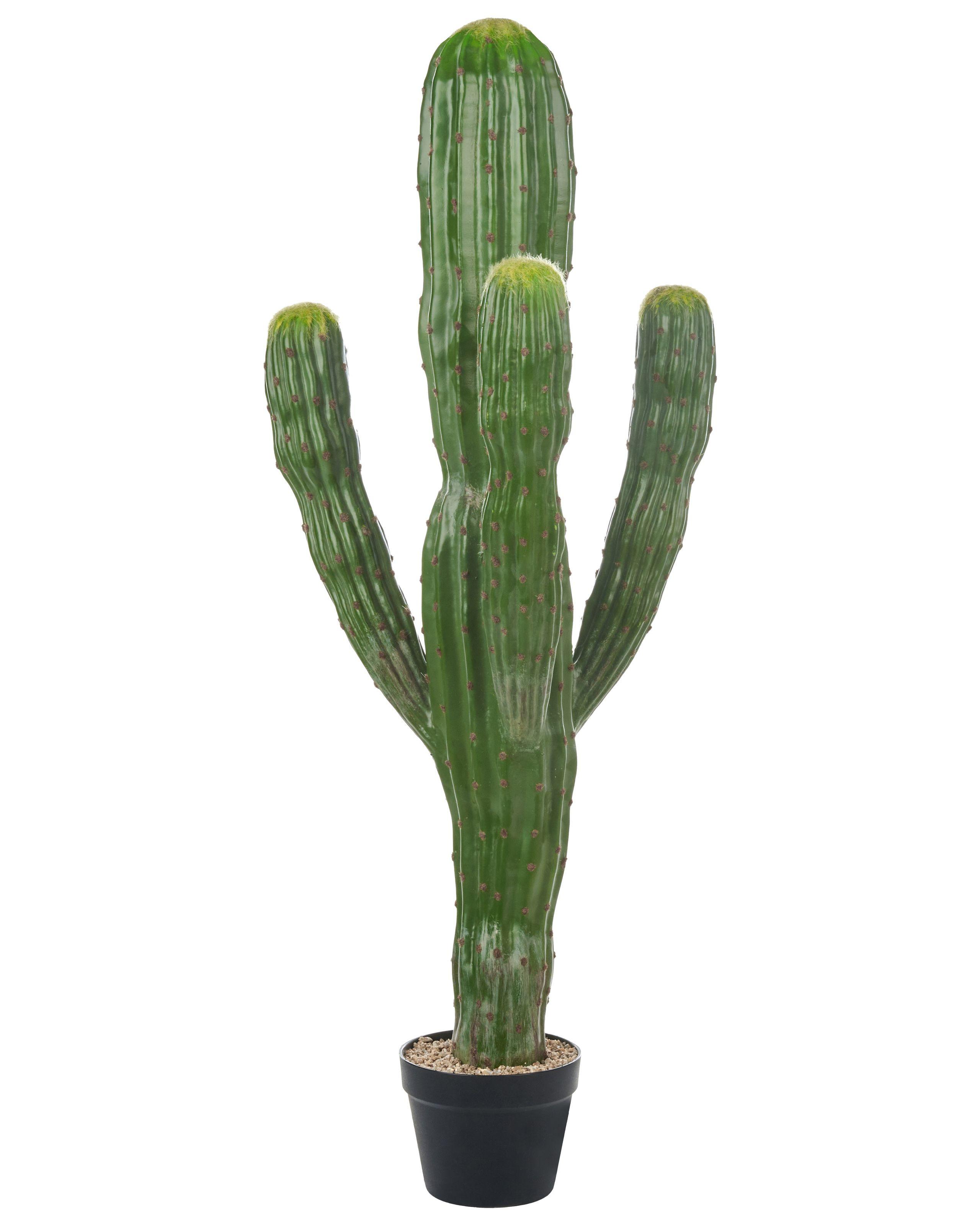 Beliani Kunstpflanze aus Kunststoff MAROCCO CEREUS