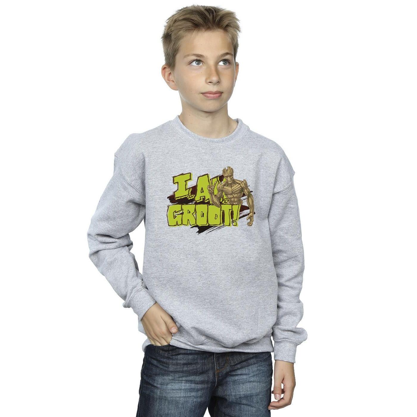Guardians Of The Galaxy I Am Groot Sweatshirt