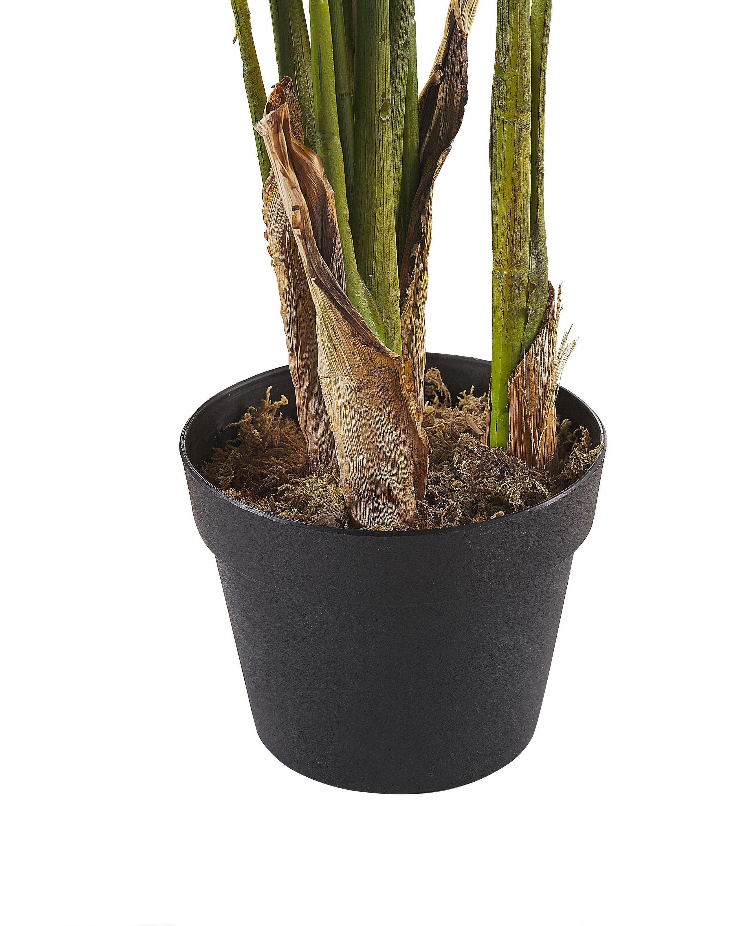 Beliani Kunstpflanze aus Kunststoff STRELITZIA TREE