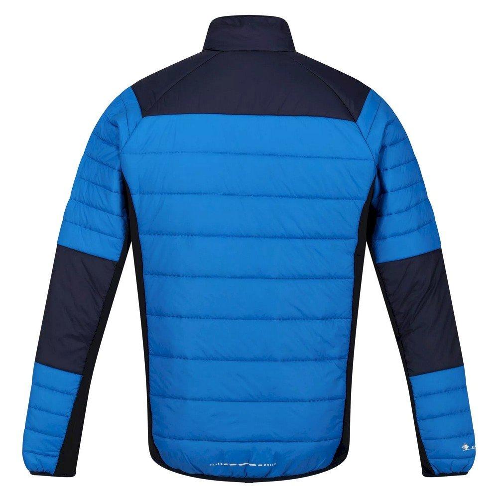 Regatta Halton VI Softshelljacke