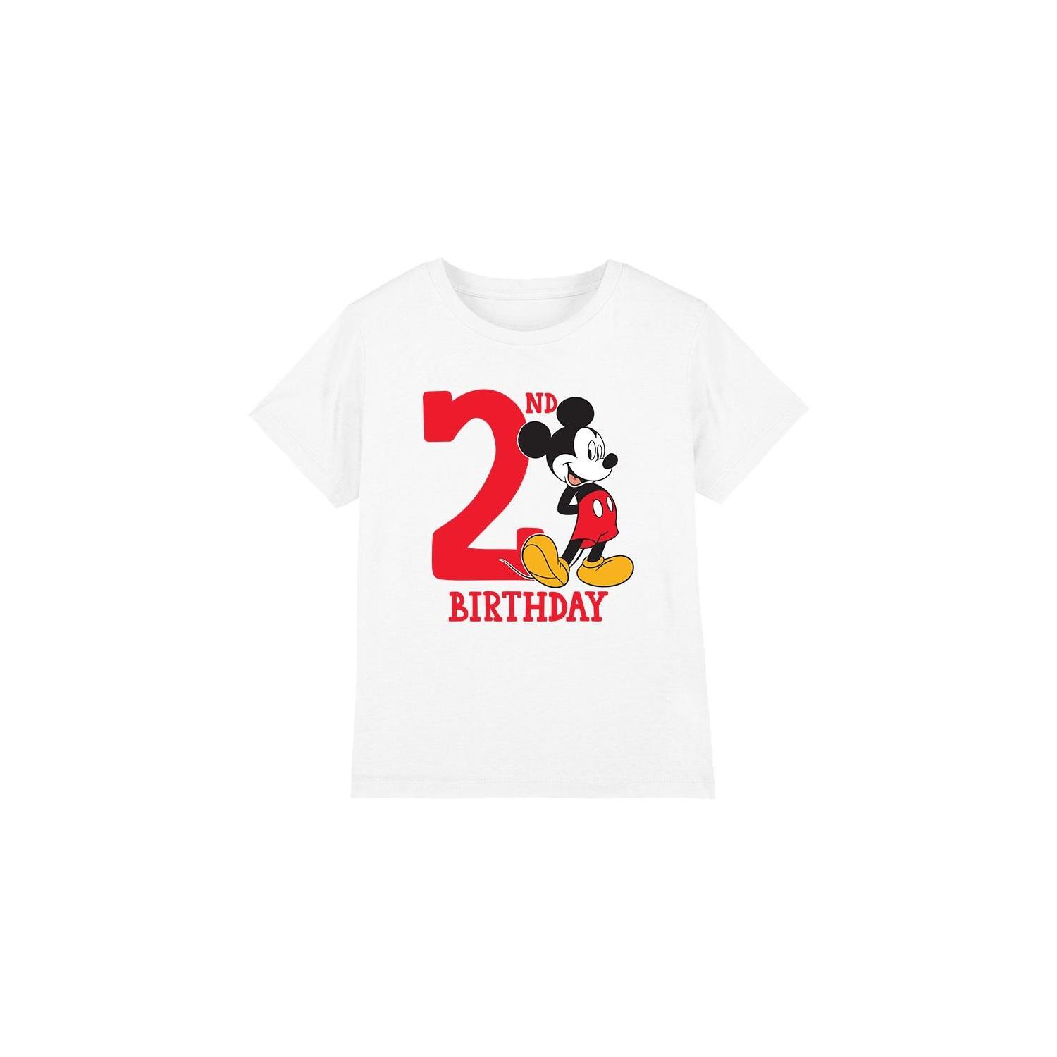 Disney TShirt  2 Geburtstag