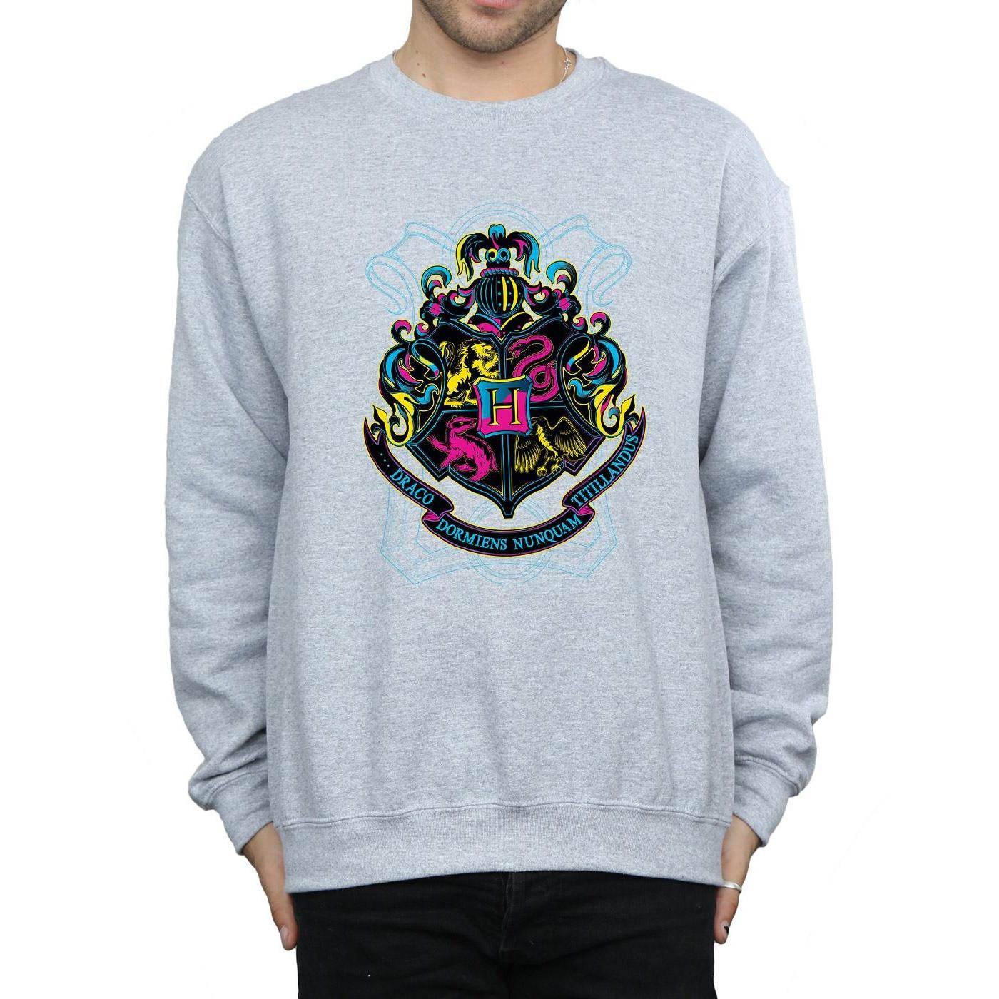 Harry Potter Hogwarts Sweatshirt
