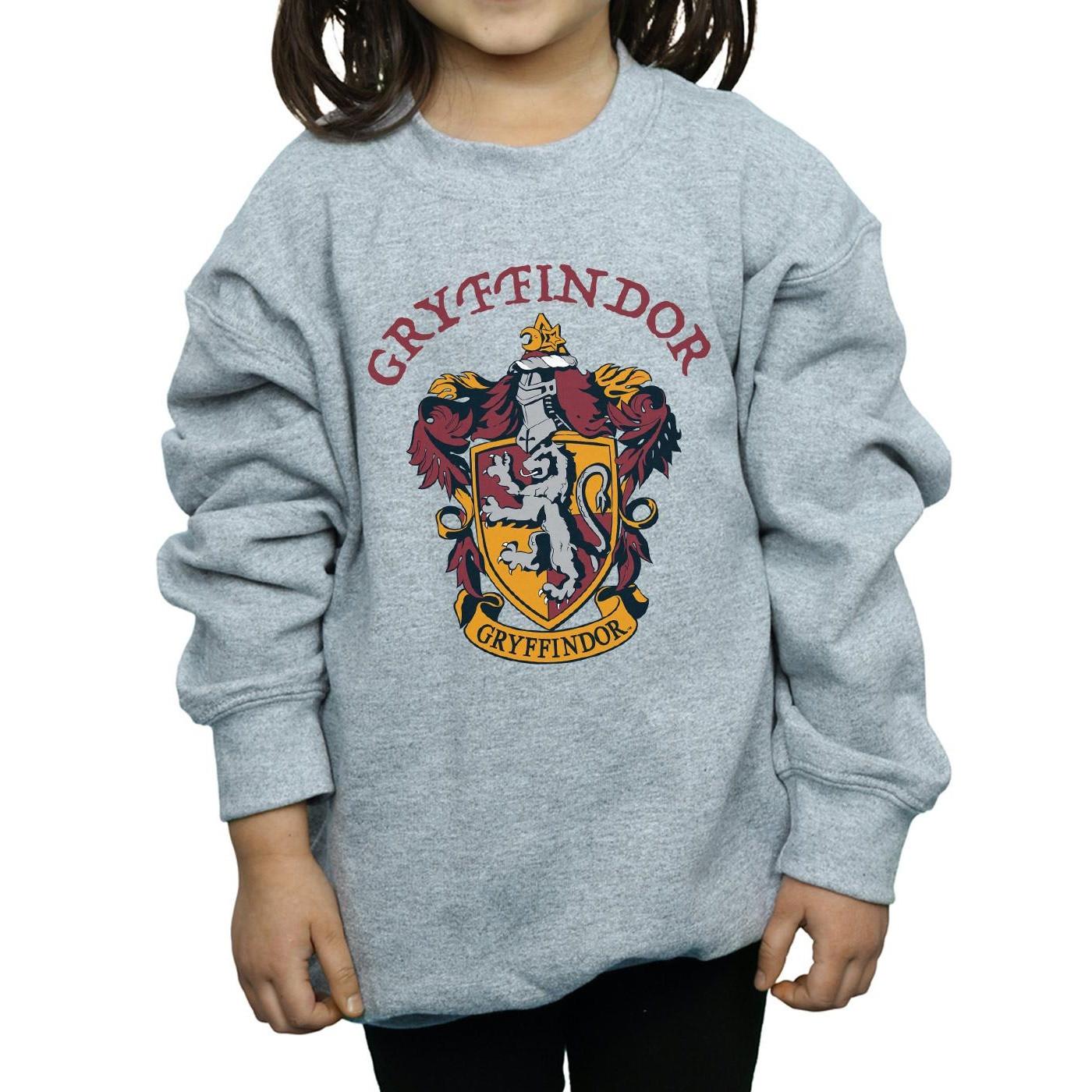 Harry Potter Sweatshirt