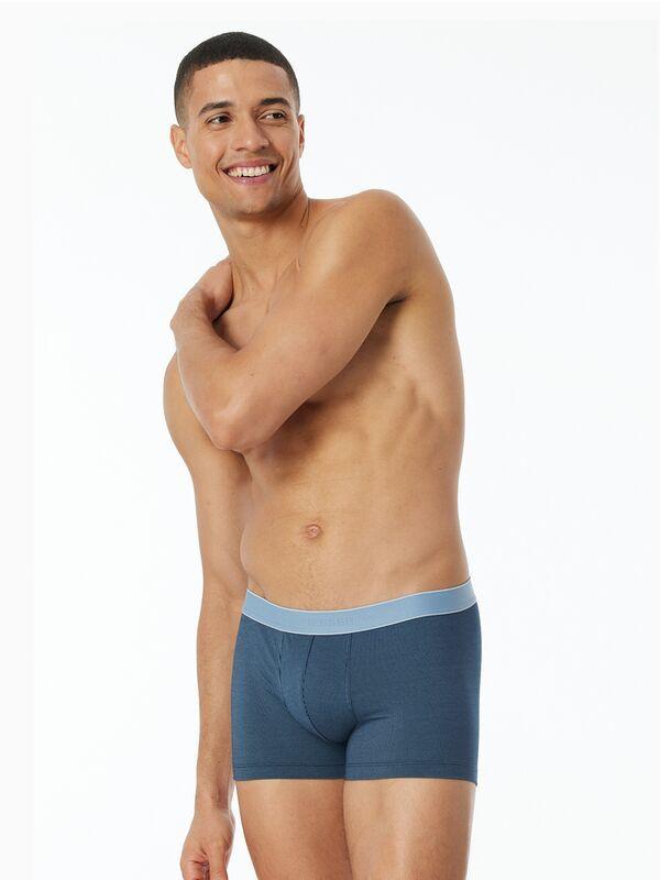 Schiesser Duality Function Short