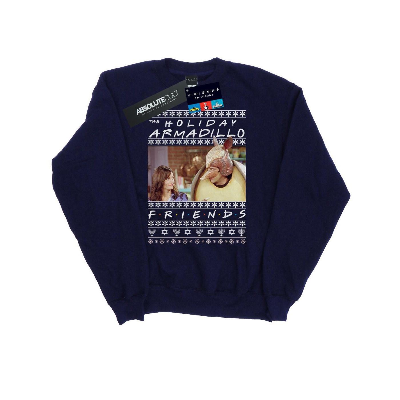 Friends Holiday Armadillo Sweatshirt