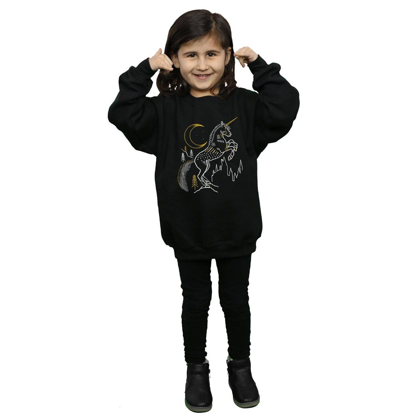 Harry Potter Sweatshirt