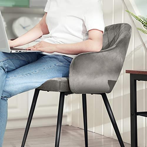 Pricenet Modernerer gesteppter Samtstuhl – luxuriös und robust
