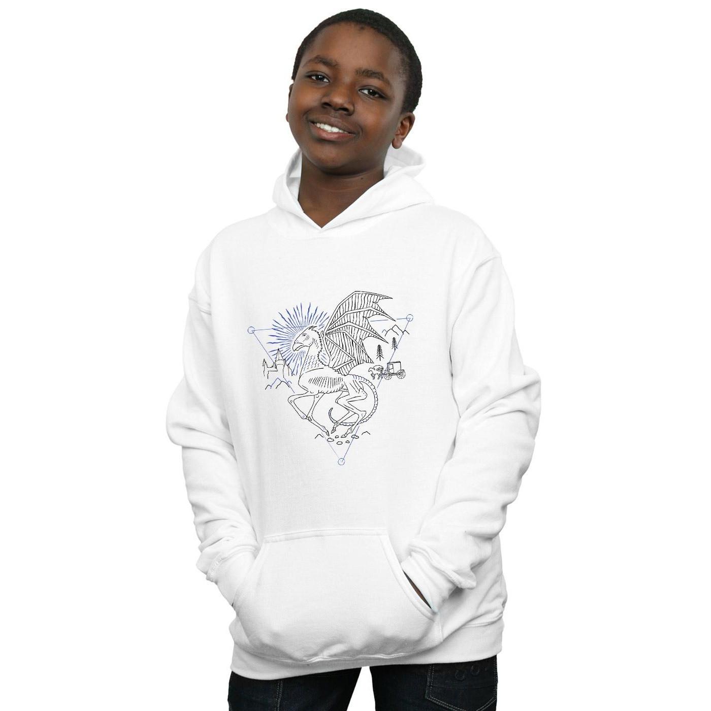 Harry Potter Kapuzenpullover