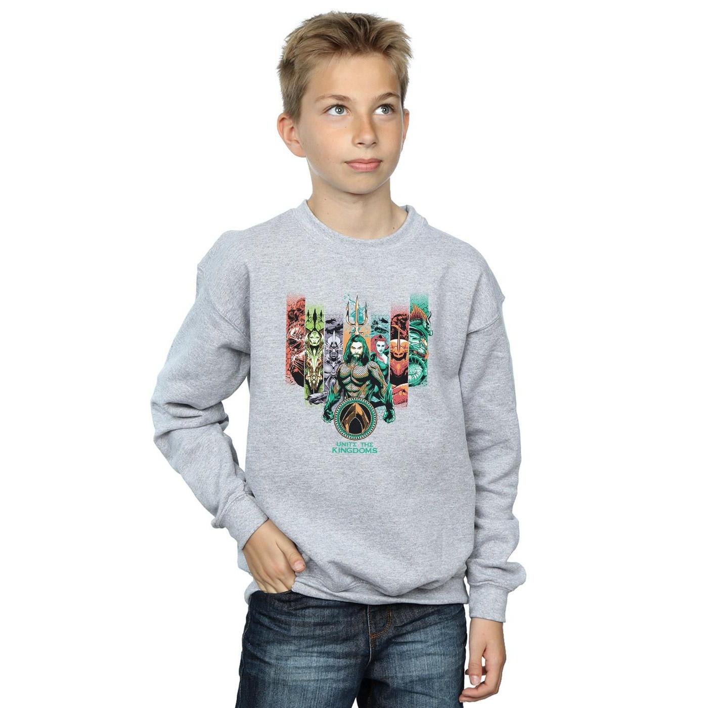 DC COMICS Unite The Kingdoms Sweatshirt