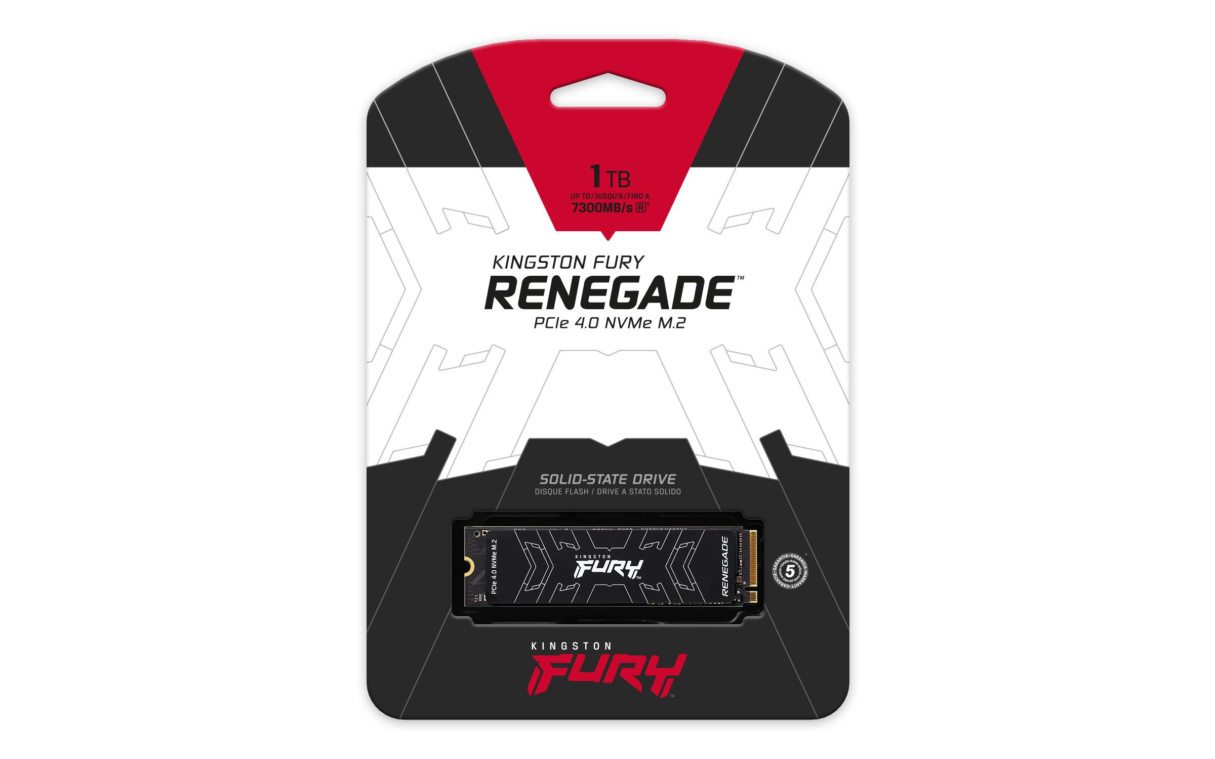 Kingston FURY Renegade (1000 GB, M.2)