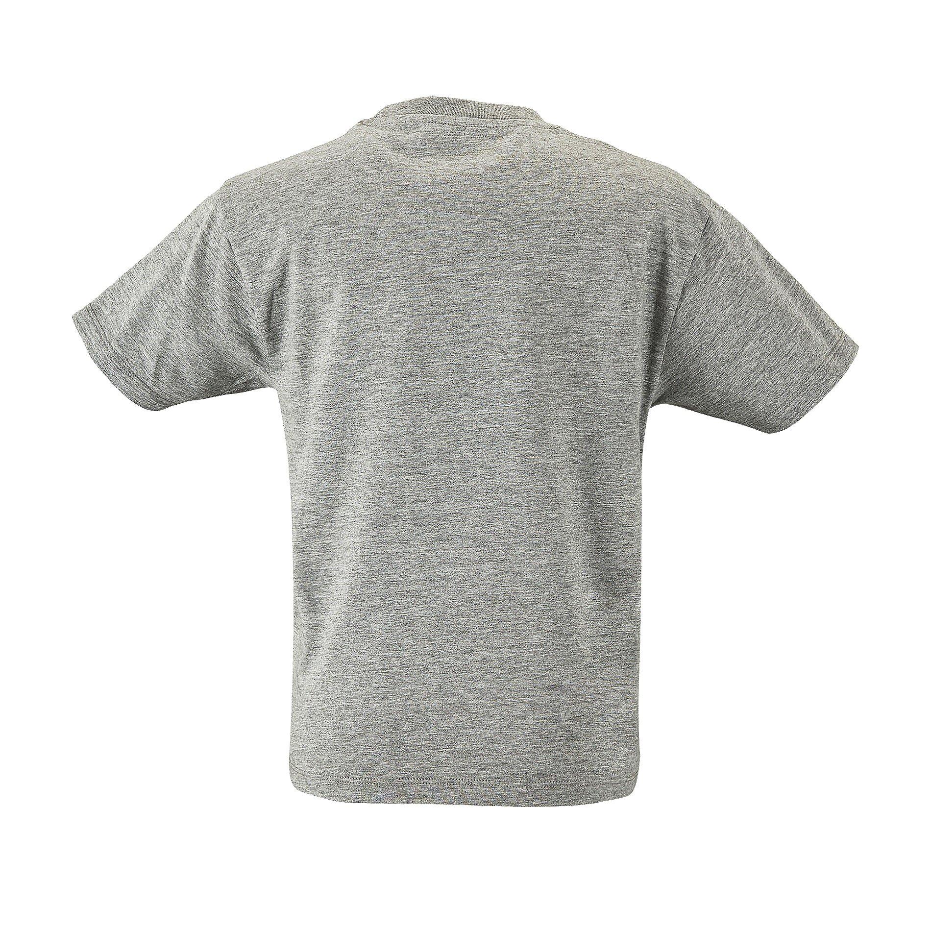 SOLS Regent TShirt, Kurzarm