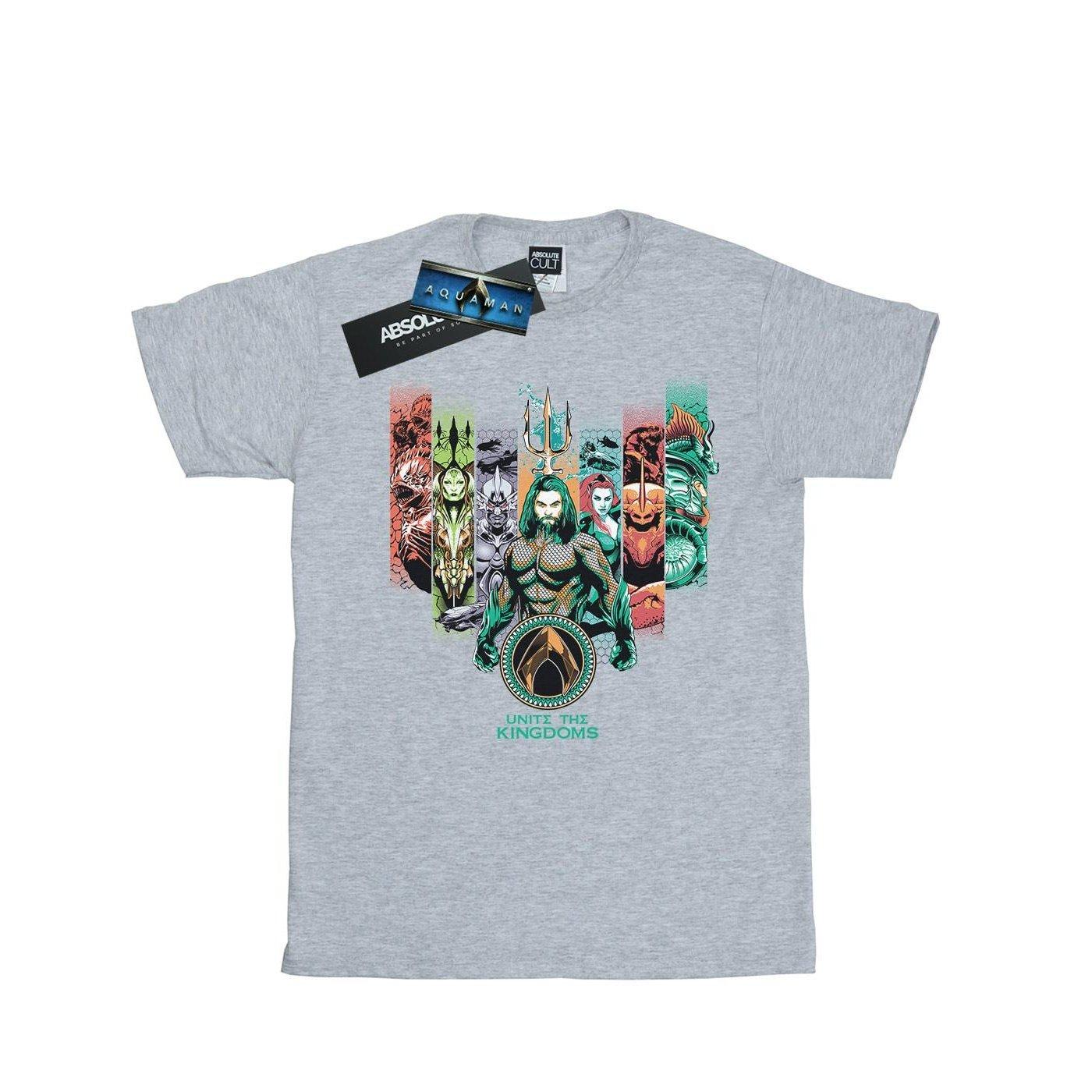 DC COMICS Unite The Kingdoms T-Shirt