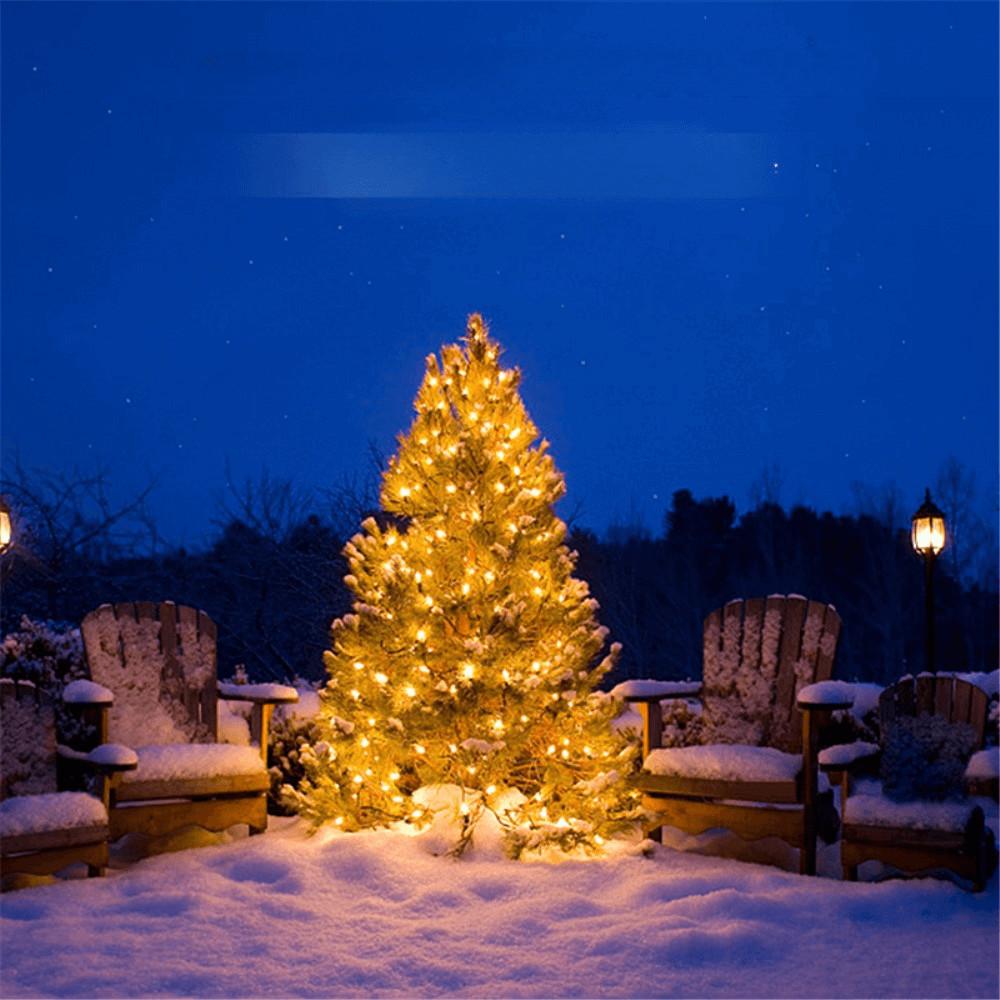 Cover-Discount 30m Lichterkette Mit 300 LEDs