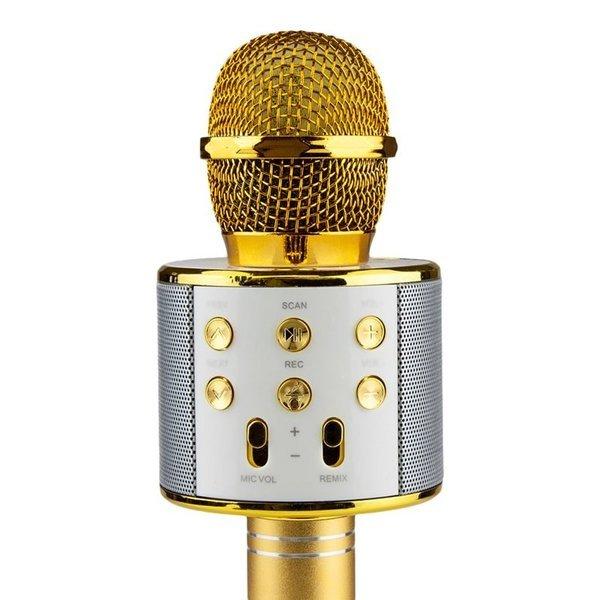eStore KTV - Drahtloses Karaoke-Mikrofon - Gold