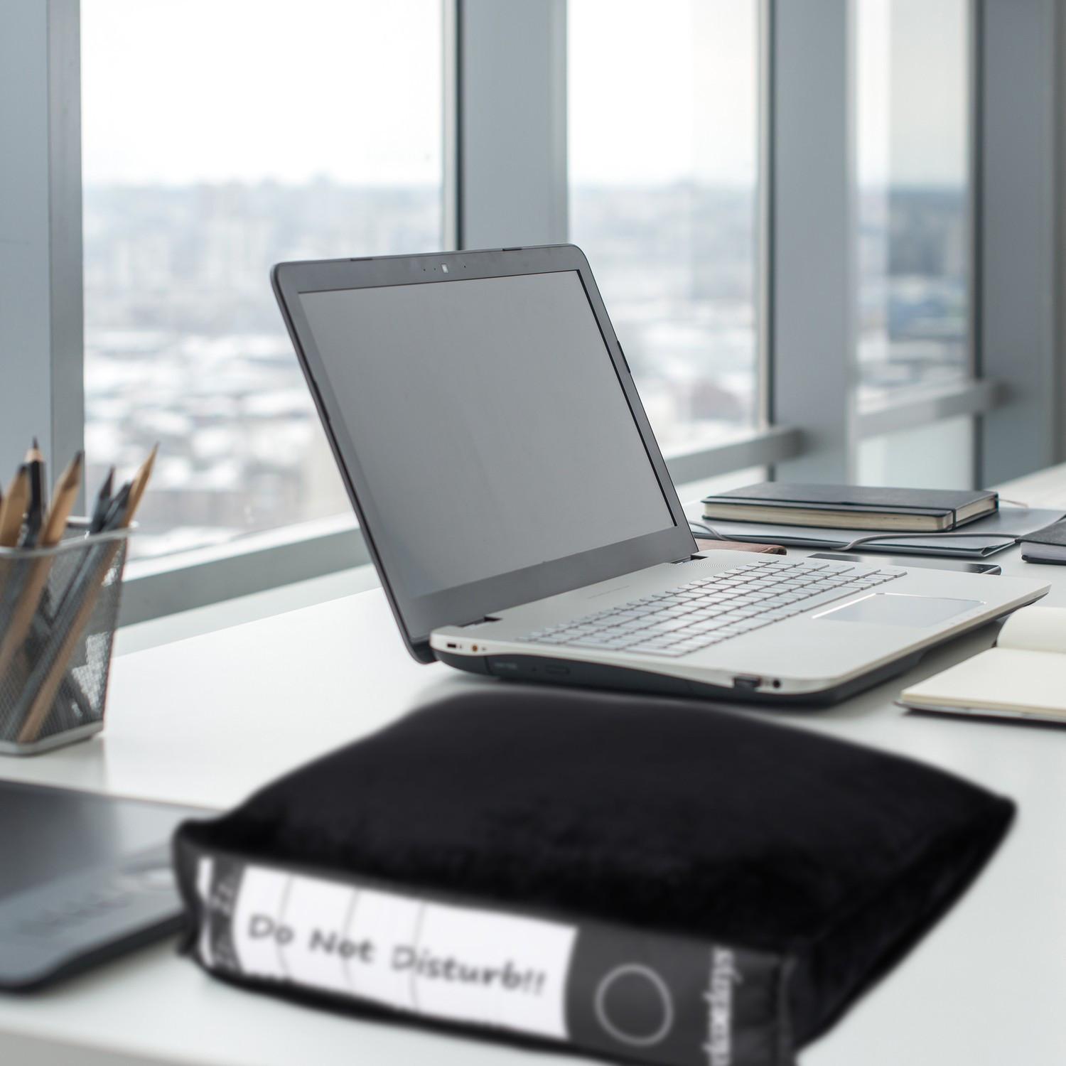 B2X Bürokissen im Archivdesign