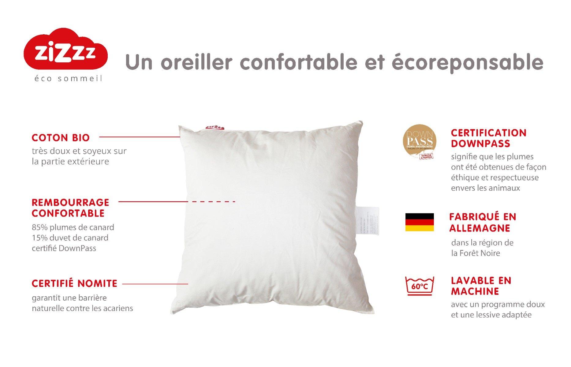 Zizzz Bio Entendaunenkissen, Nomite & Downpass