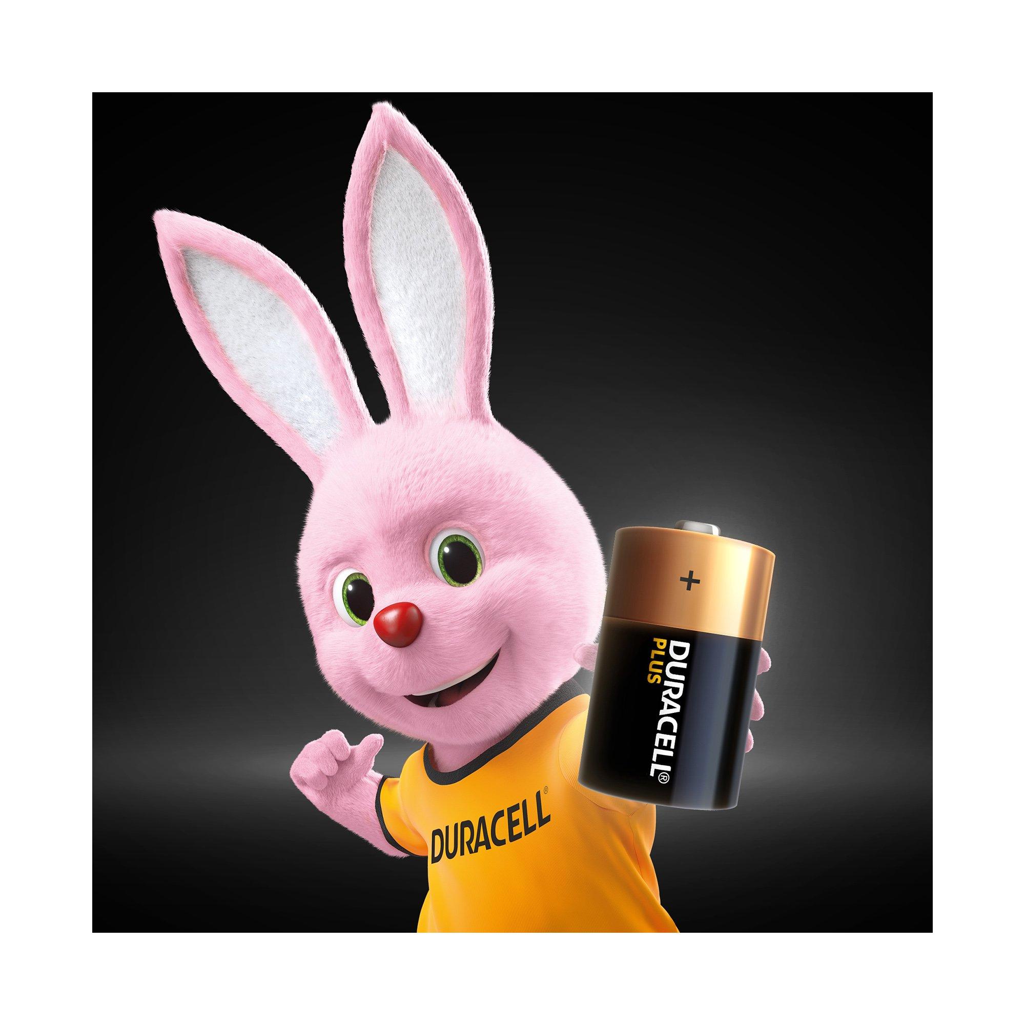 DURACELL PLUS Alkaline-Bat.,2Stk