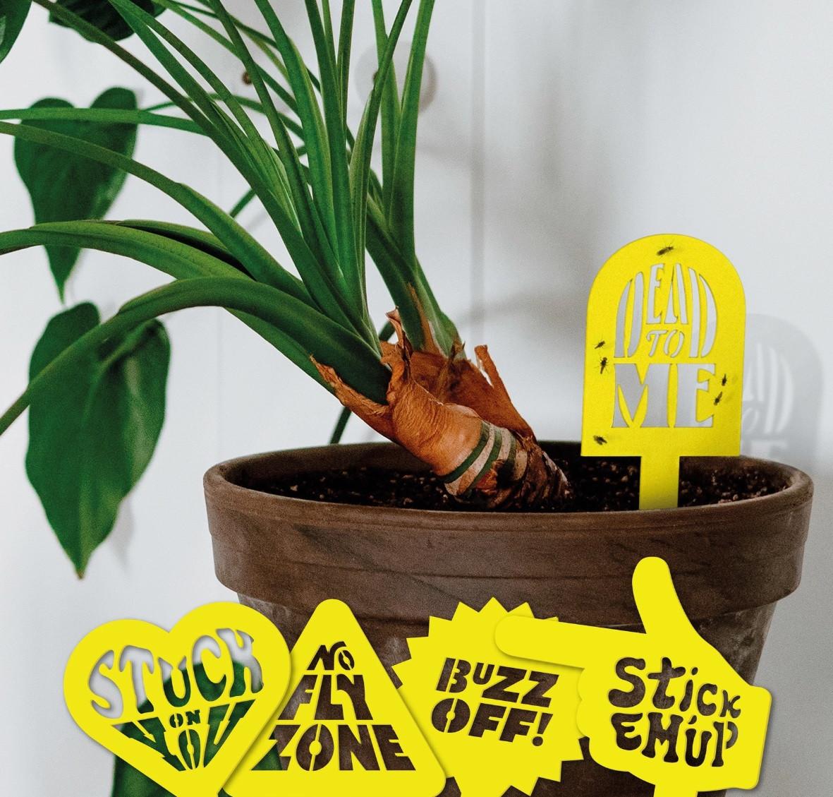 Bubblegum Pflanzen Insektenfalle Klebefallen 10 Stück