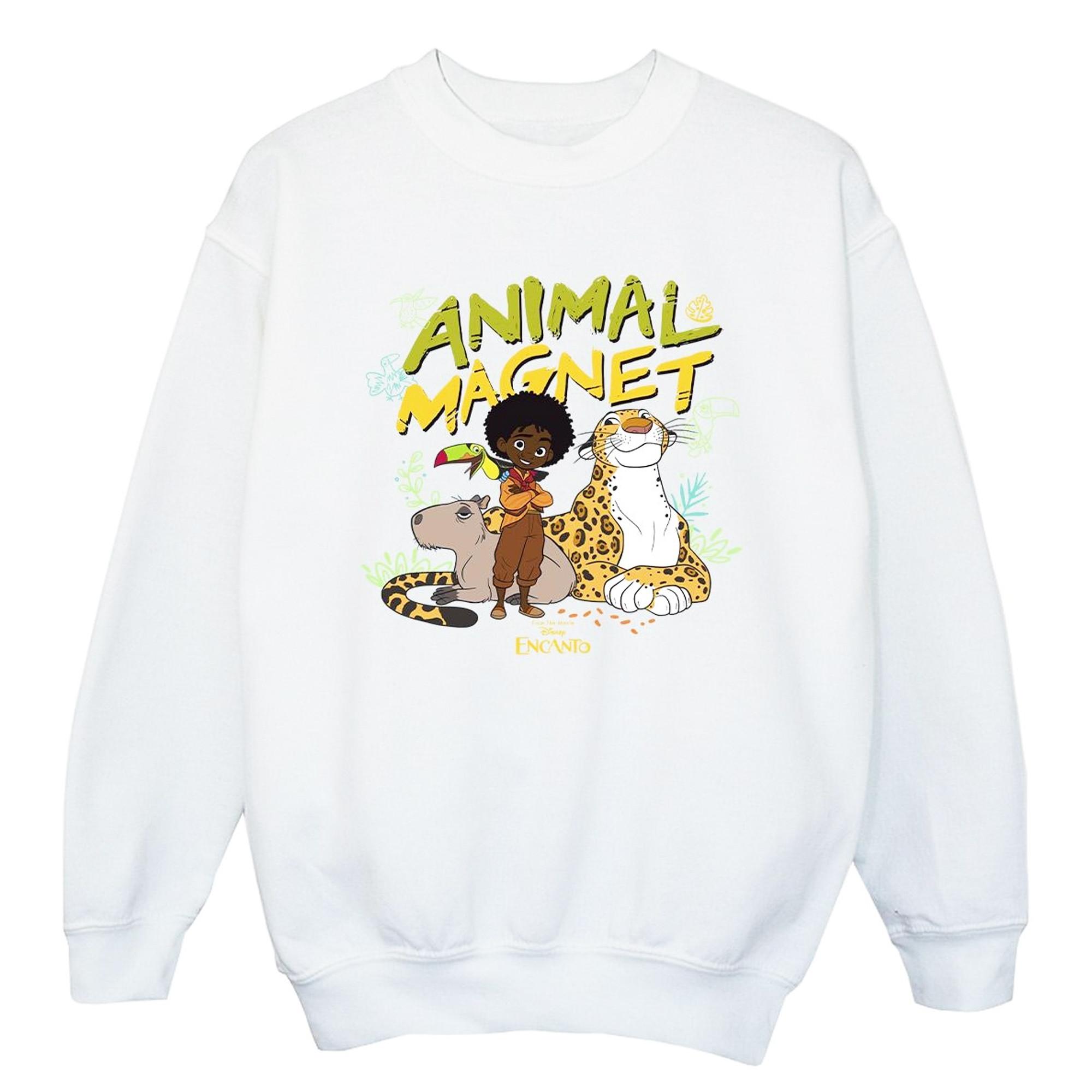 Disney Encanto Sweatshirt