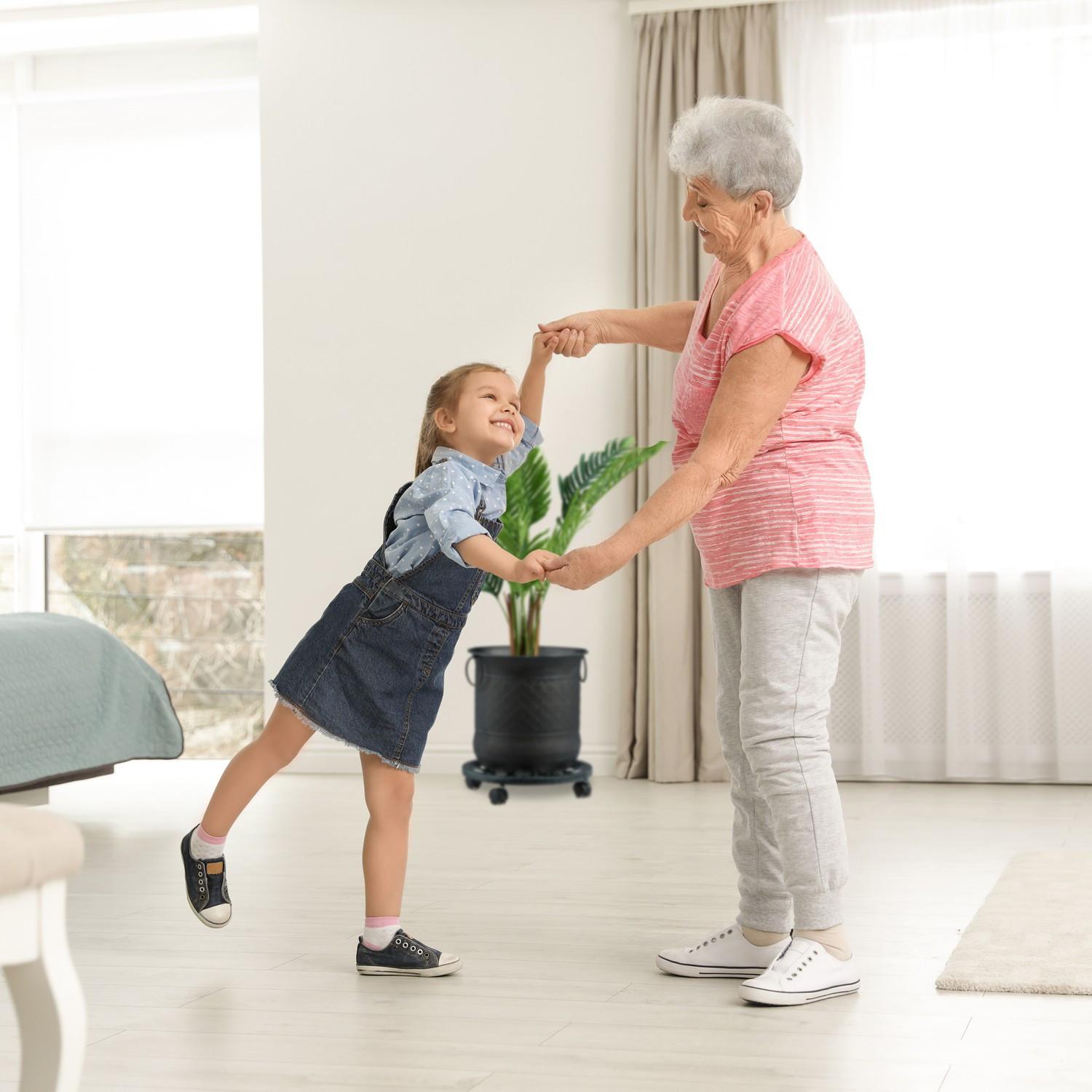 B2X Runde Rollplatte für Topfpflanzen