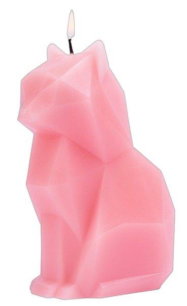 PyroPet PyroPet Kisa