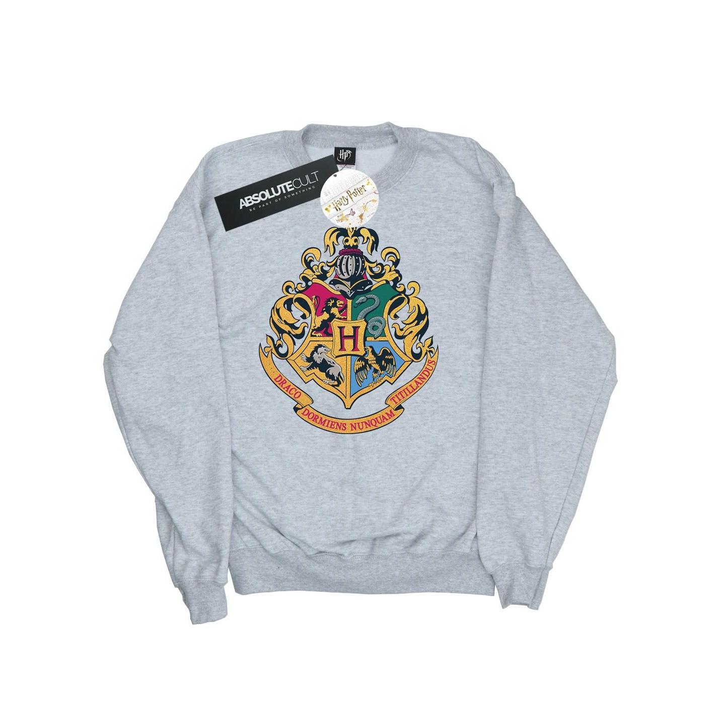 Harry Potter Hogwarts Sweatshirt