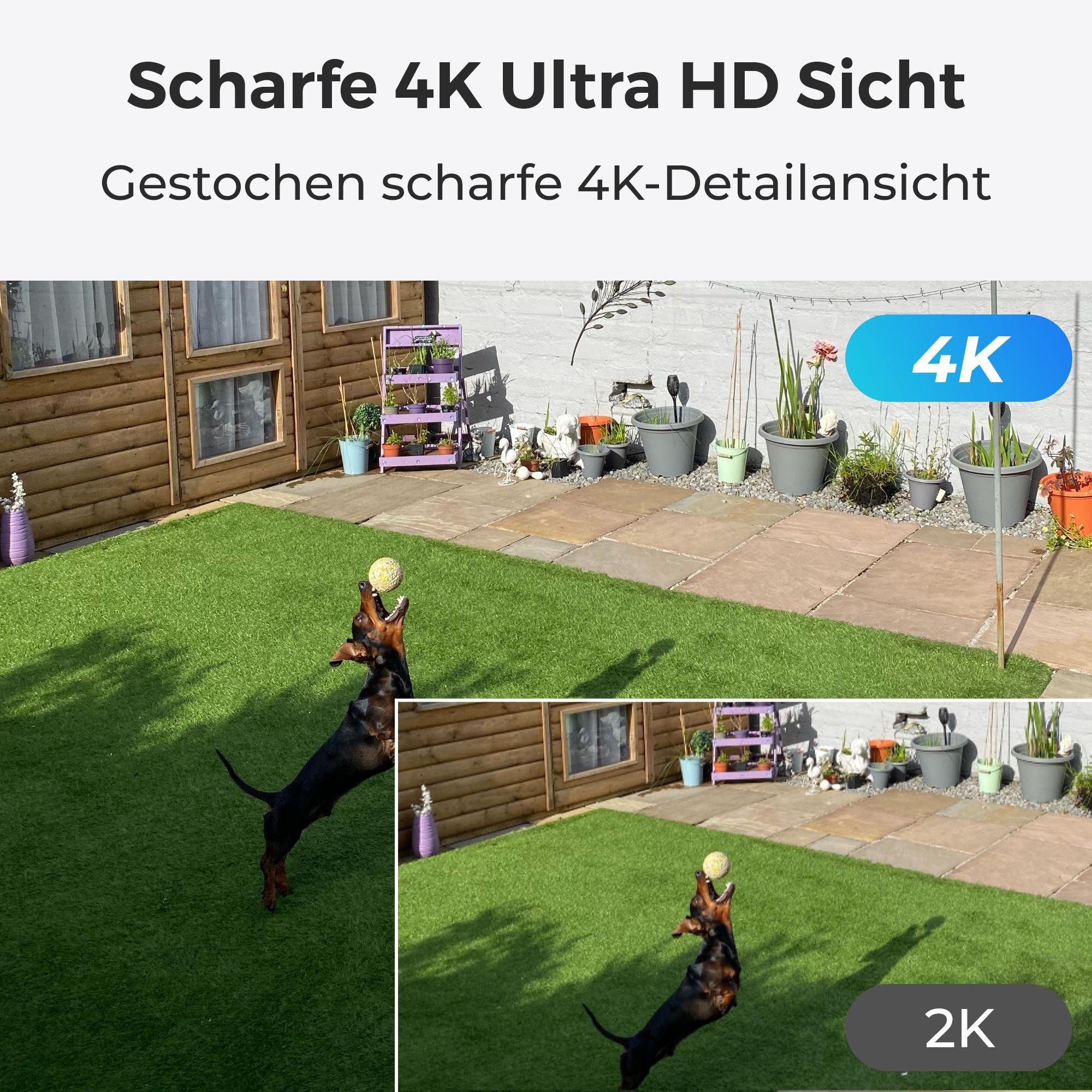 Reolink Duo P730 180° PoE-Kamera