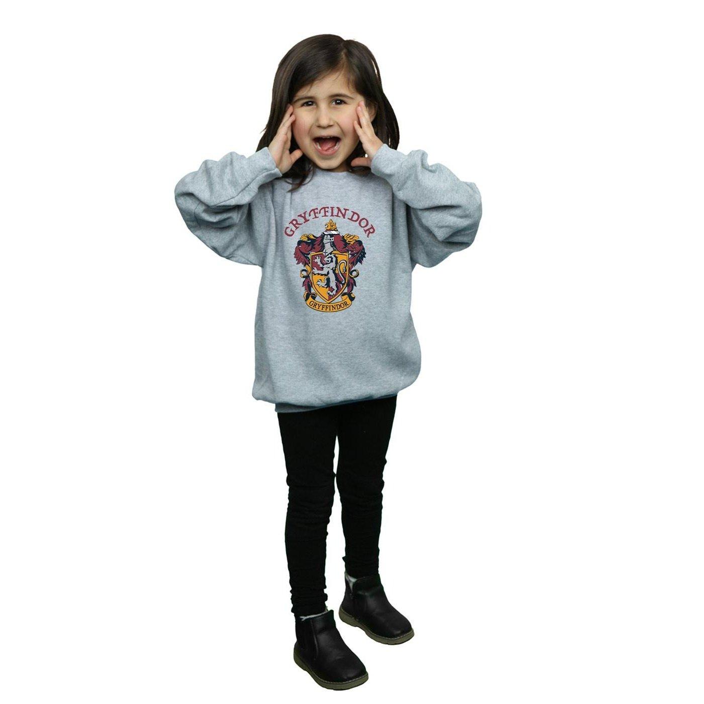Harry Potter Sweatshirt