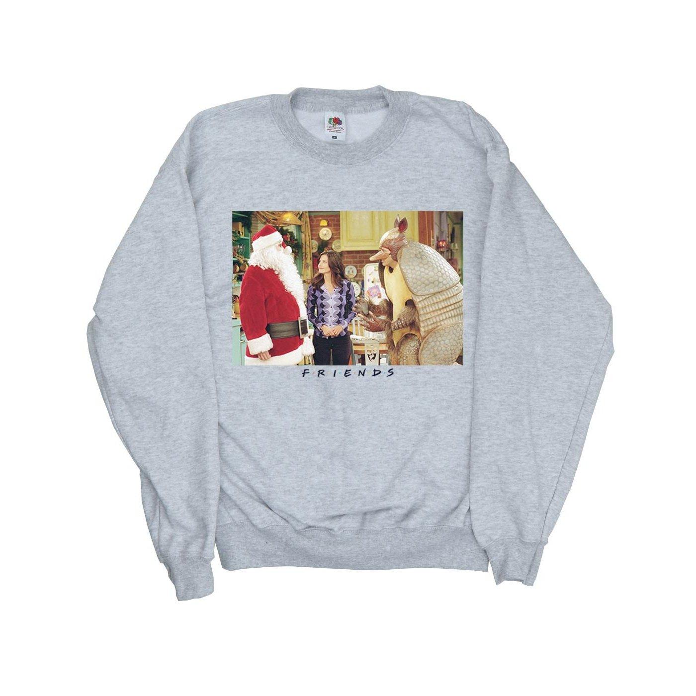 Friends Christmas Armadillo Sweatshirt