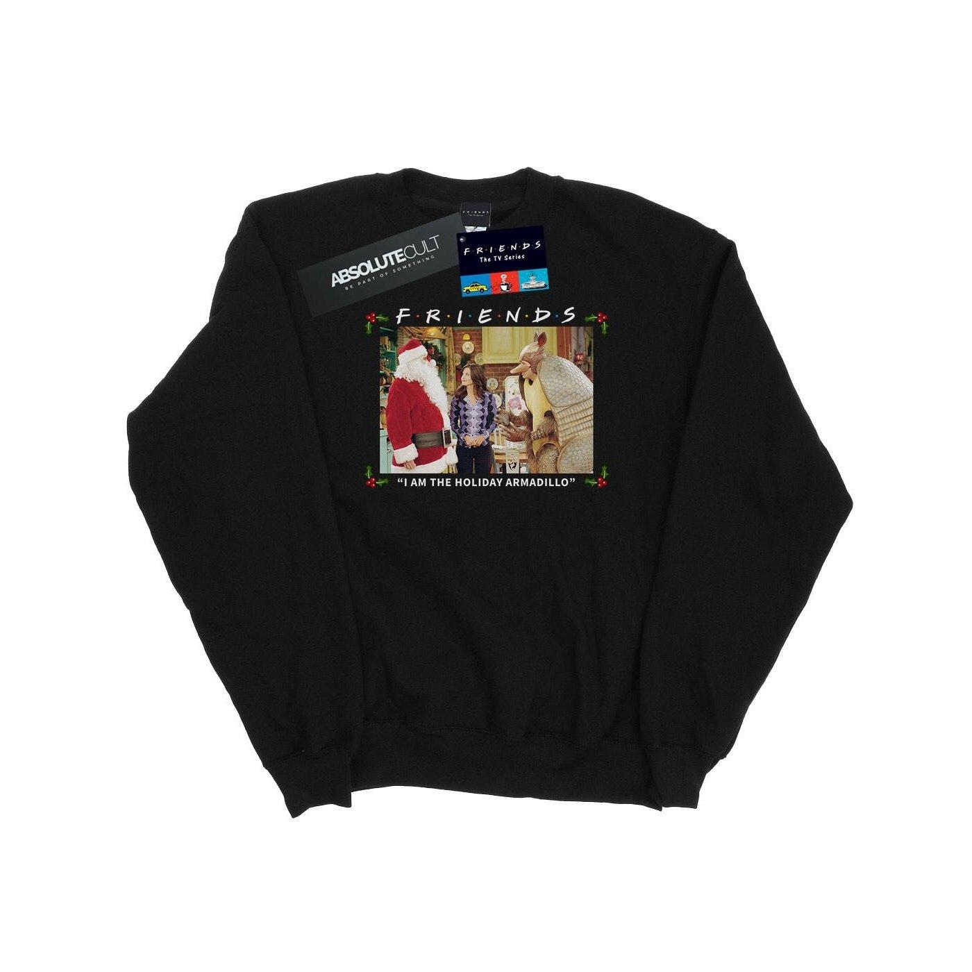 Friends I Am The Holiday Armadillo Sweatshirt