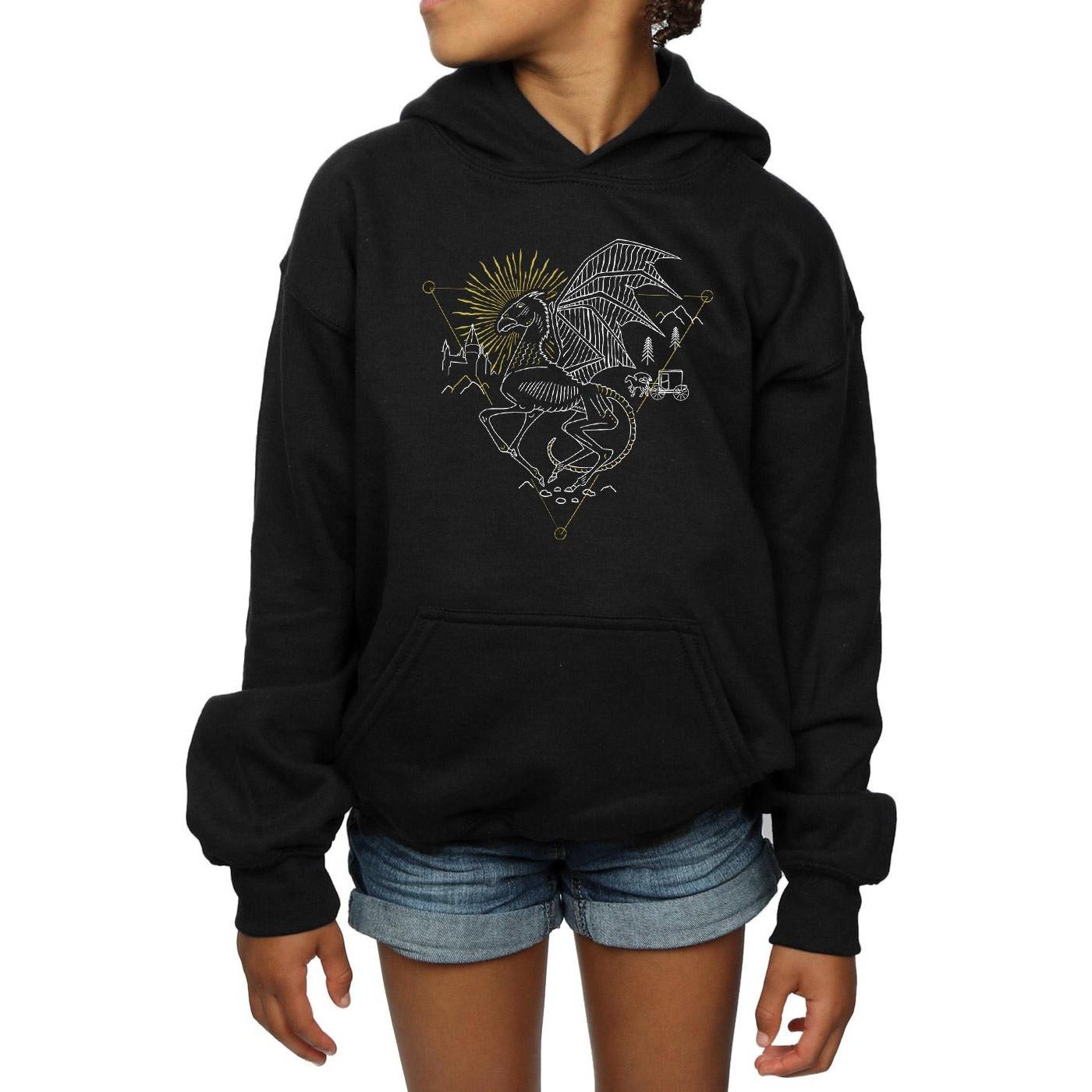 Harry Potter Kapuzenpullover