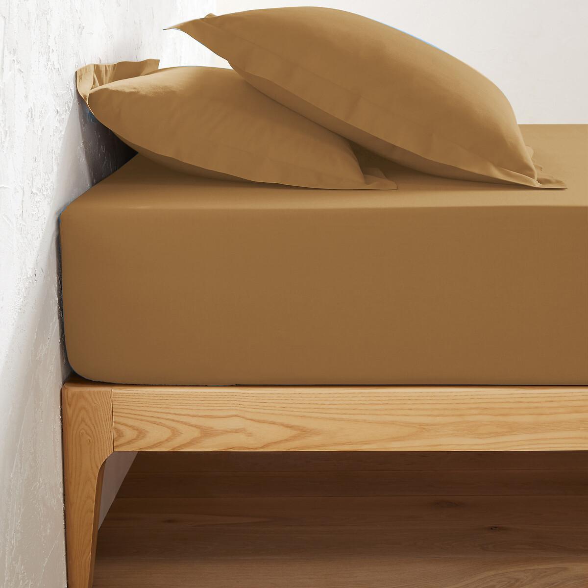 La Redoute Intérieurs Einfarbiges Fixleintuch Scenario aus Baumwolle