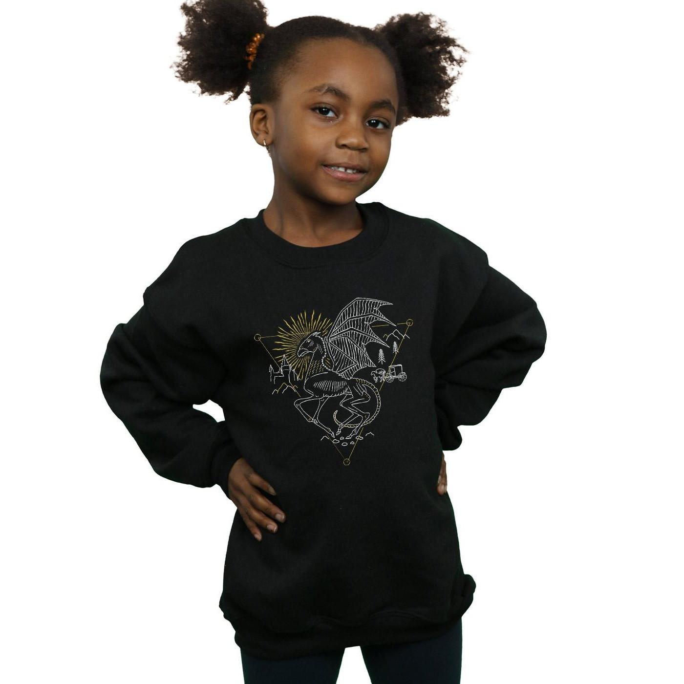 Harry Potter Sweatshirt