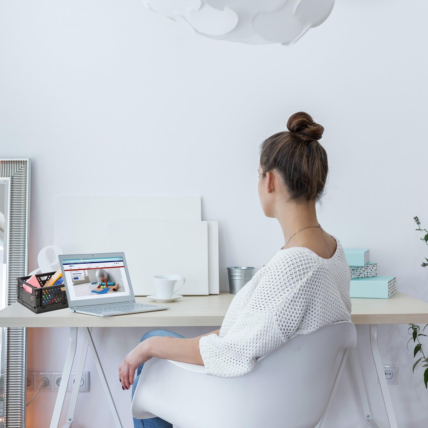 B2X Kleine zusammenklappbare Box im 2er-Set