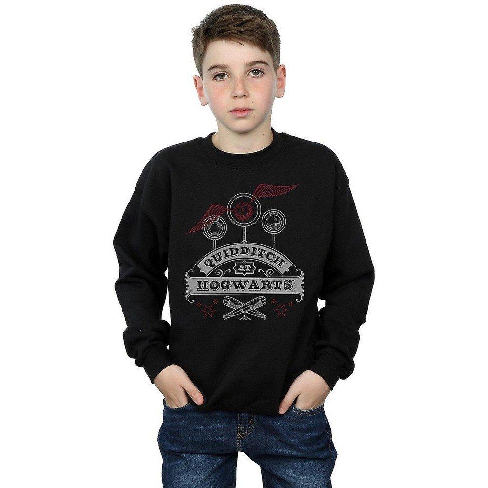 Harry Potter Quidditch At Hogwarts Sweatshirt