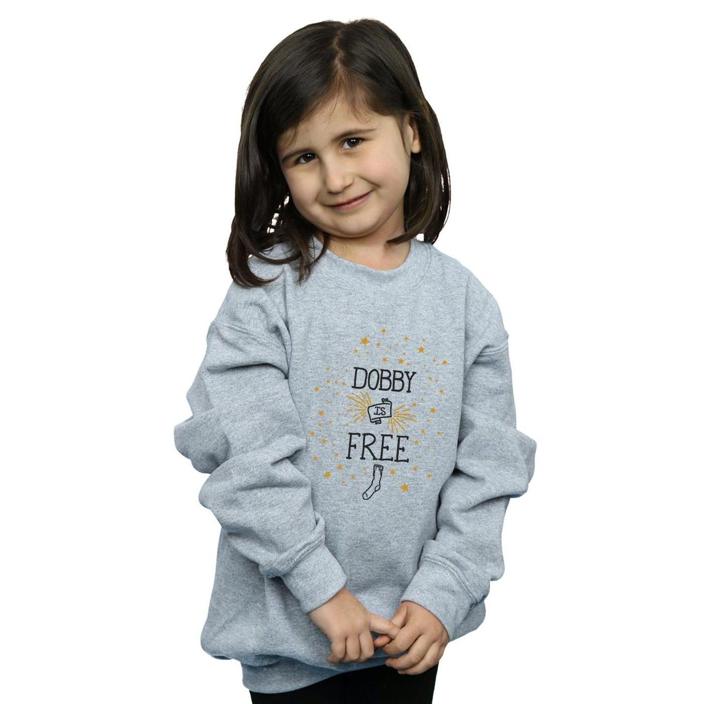 Harry Potter Dobby Is Free Sweatshirt