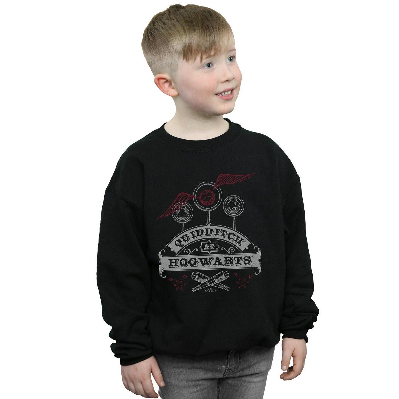 Harry Potter Quidditch At Hogwarts Sweatshirt