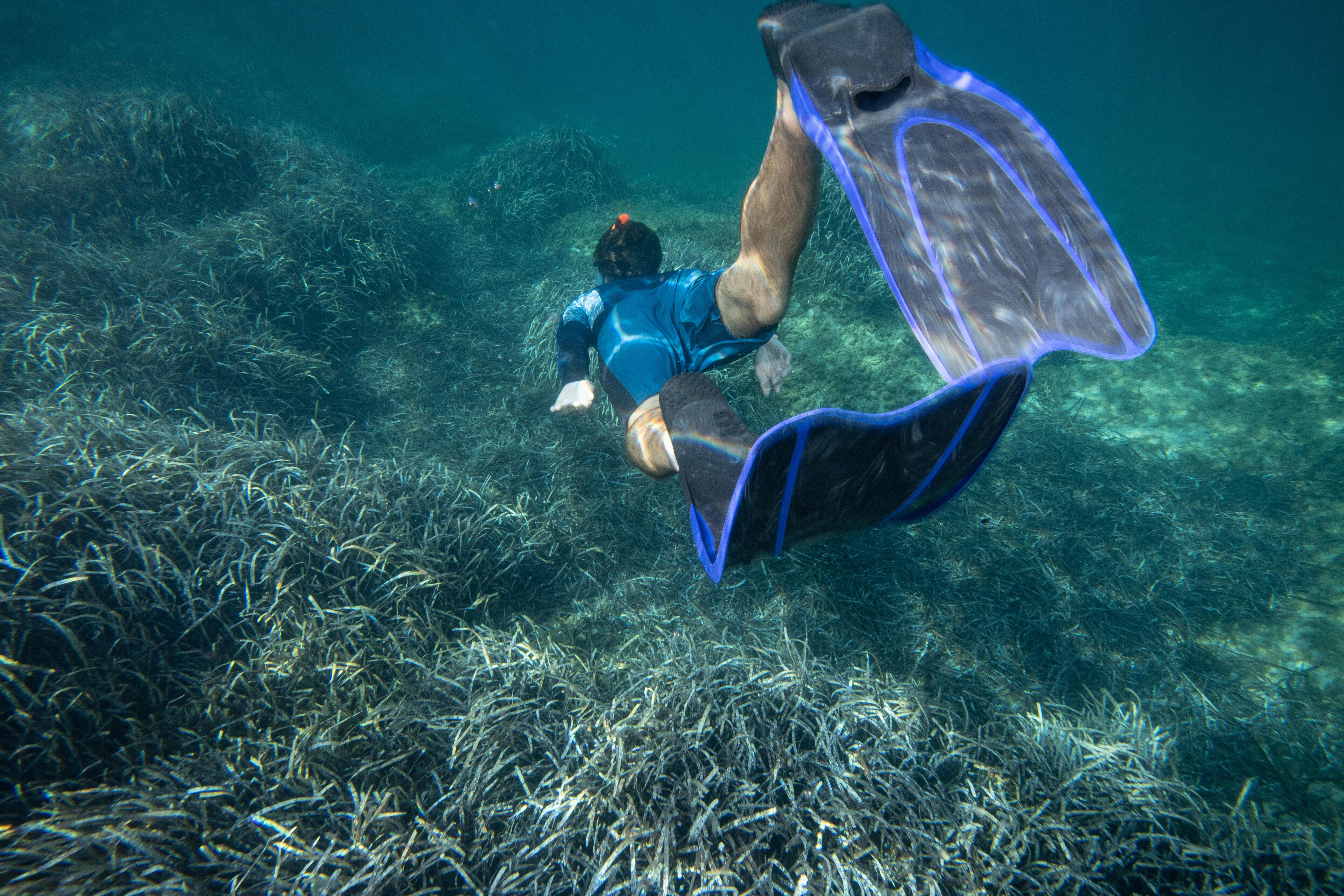 SUBEA Flossen - REACT